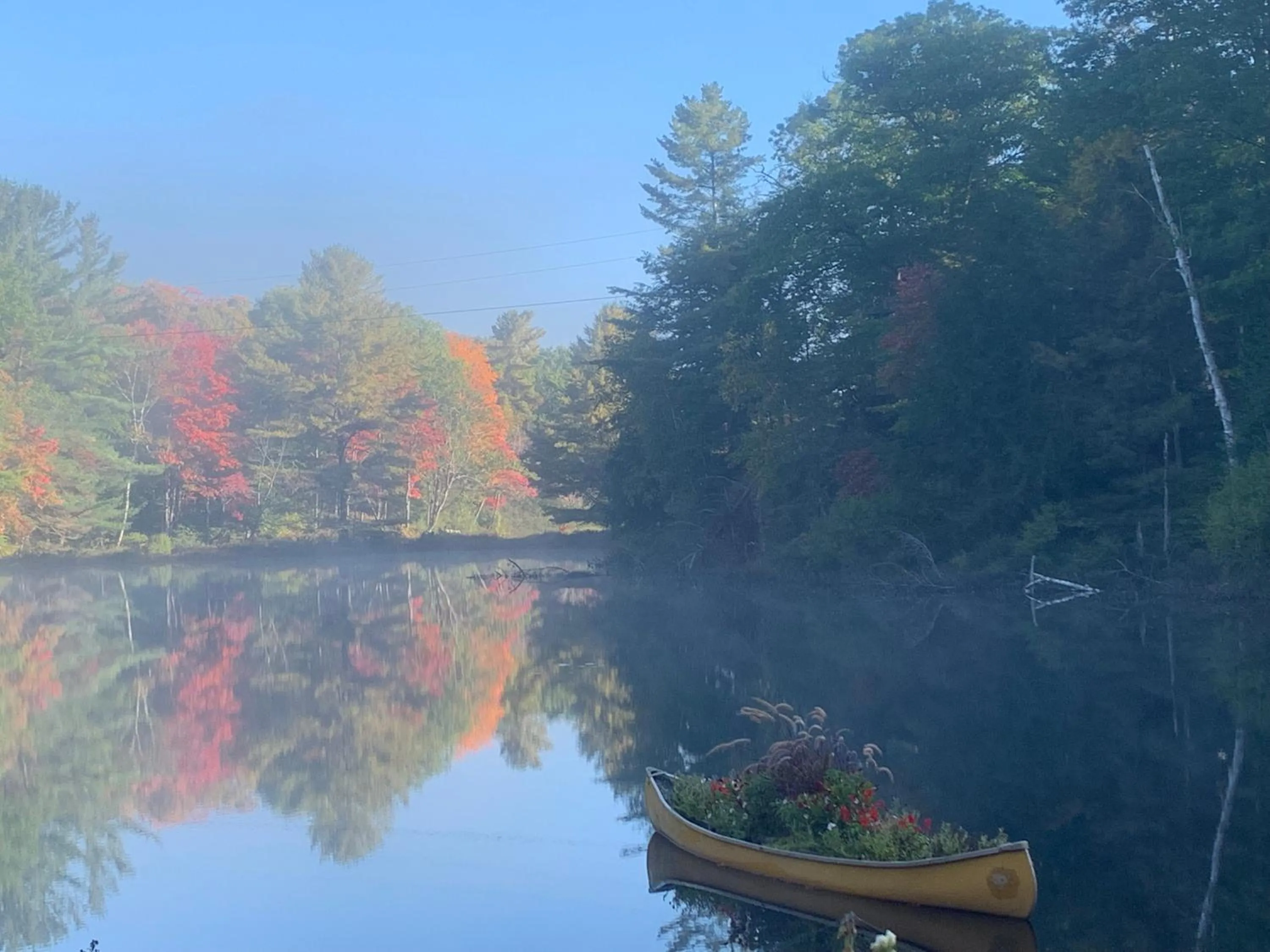 Natural landscape in Trillium Resort & Spa