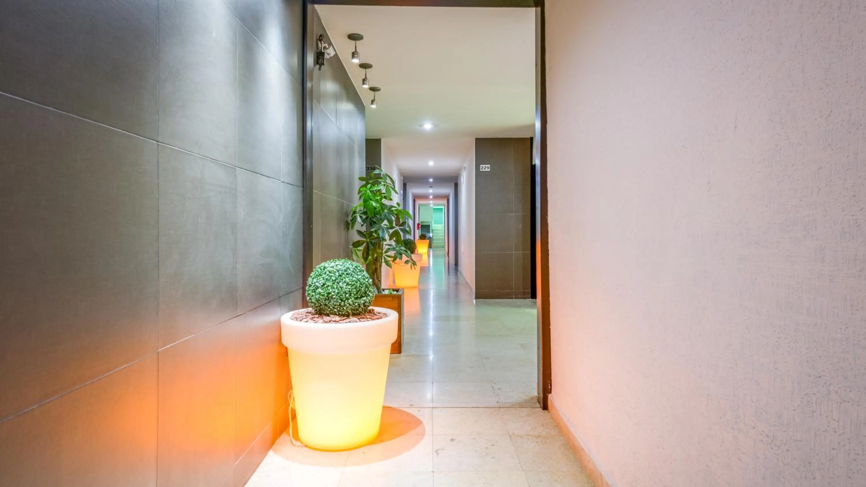 Area and facilities in Homesuites Rotarismo