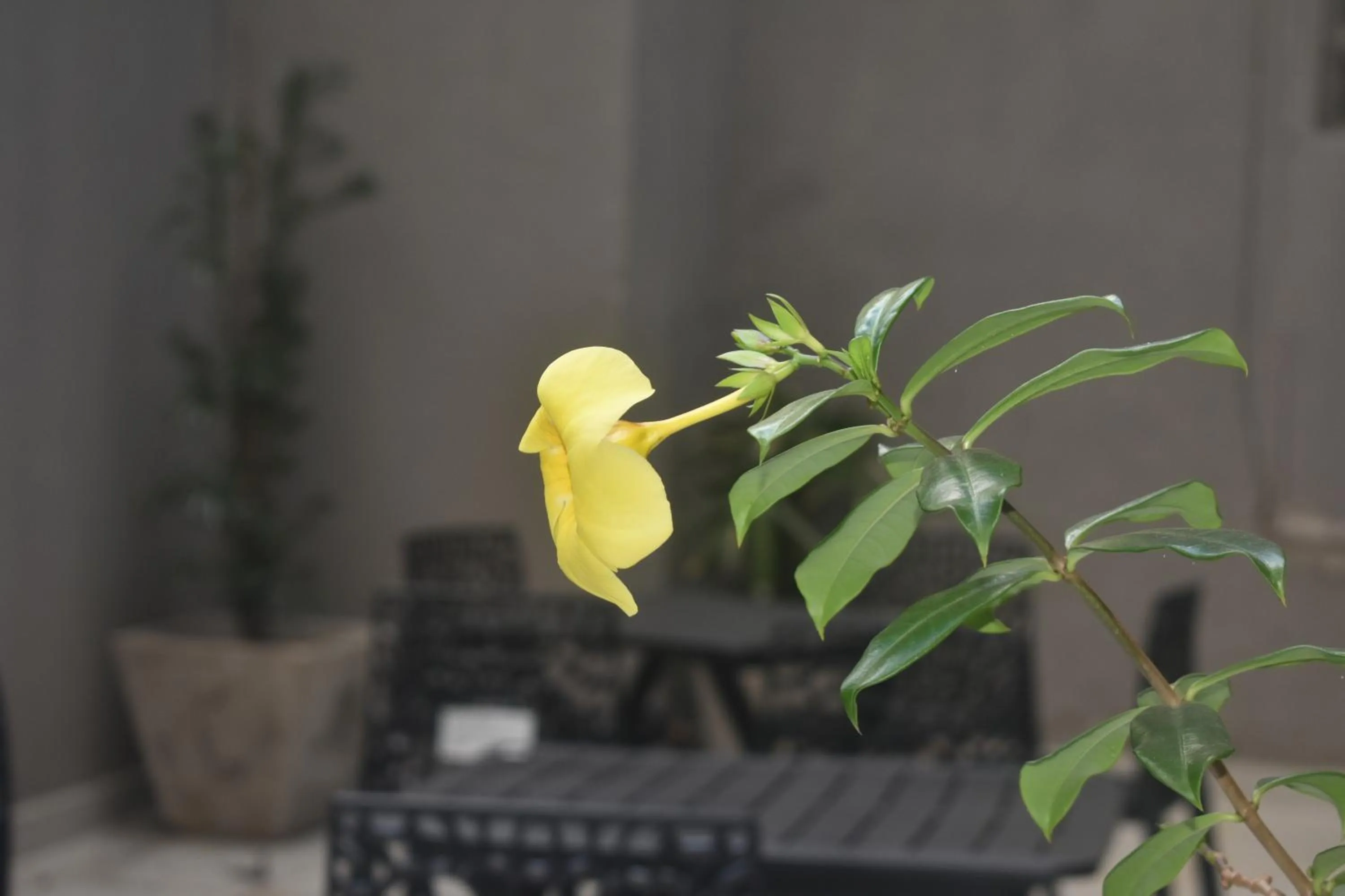 Unity Hotel - Paulista - SP