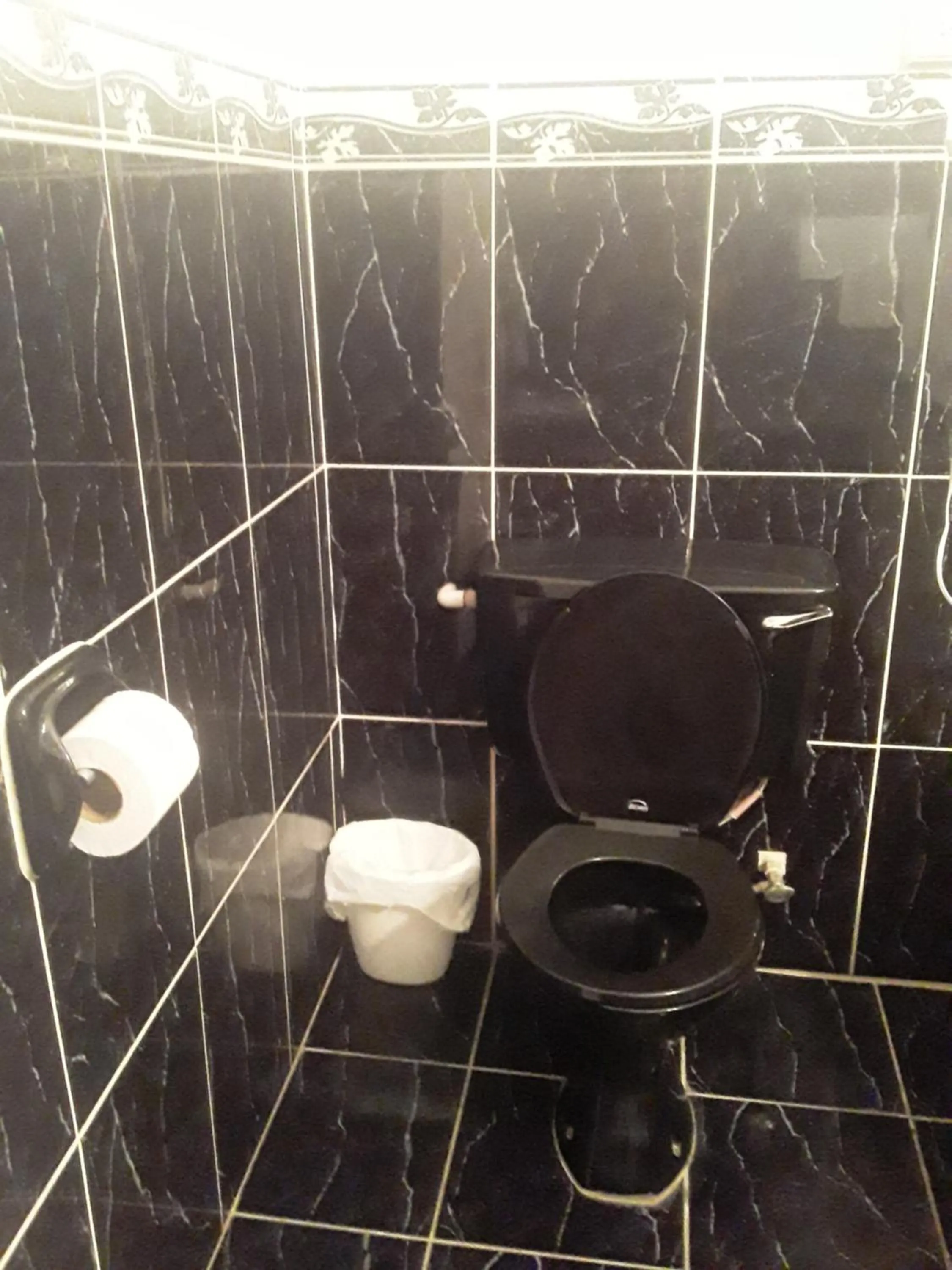 Toilet in Derick's Inn