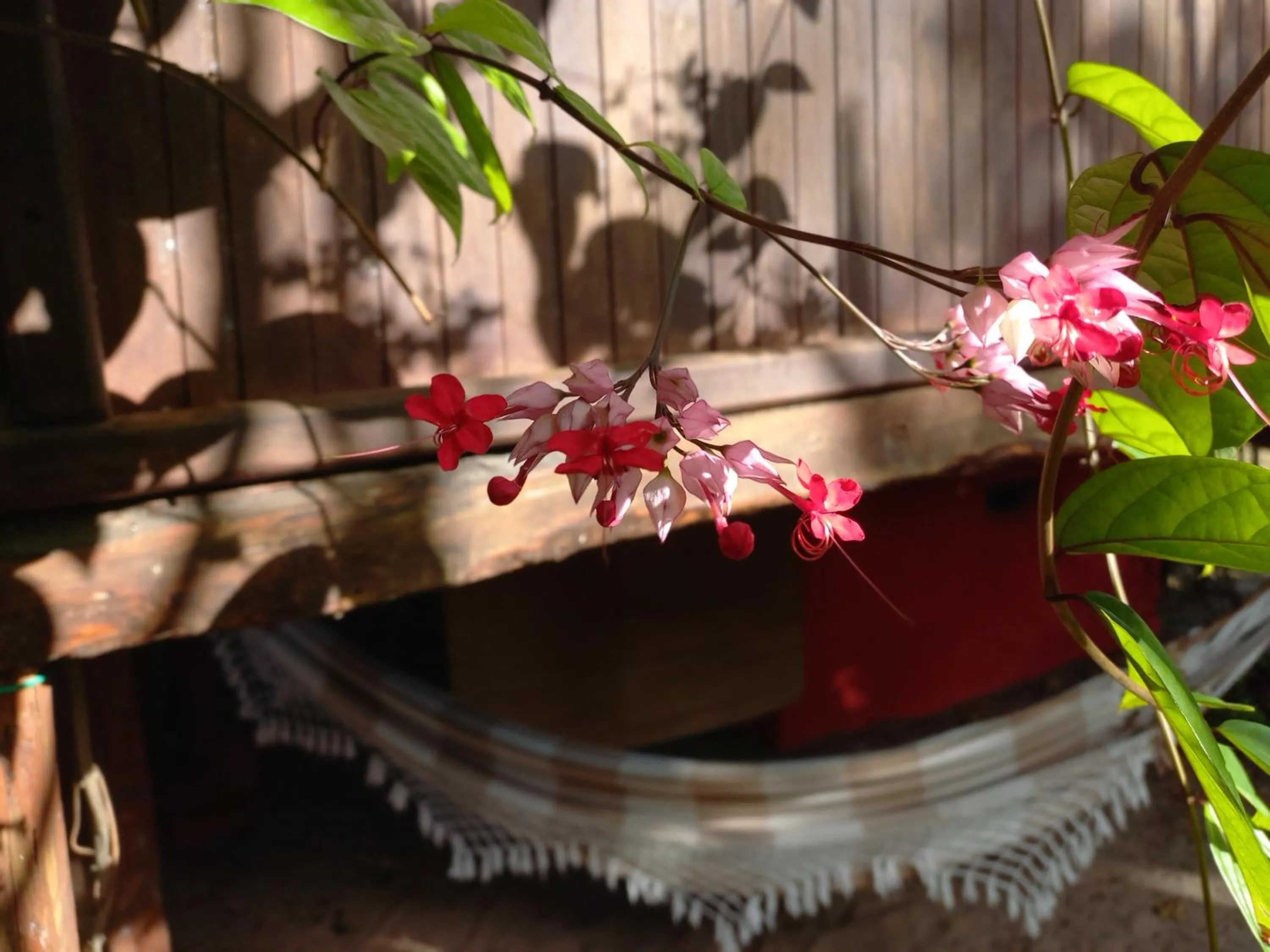 Day in Bangalôs da Aldeia Caraiva