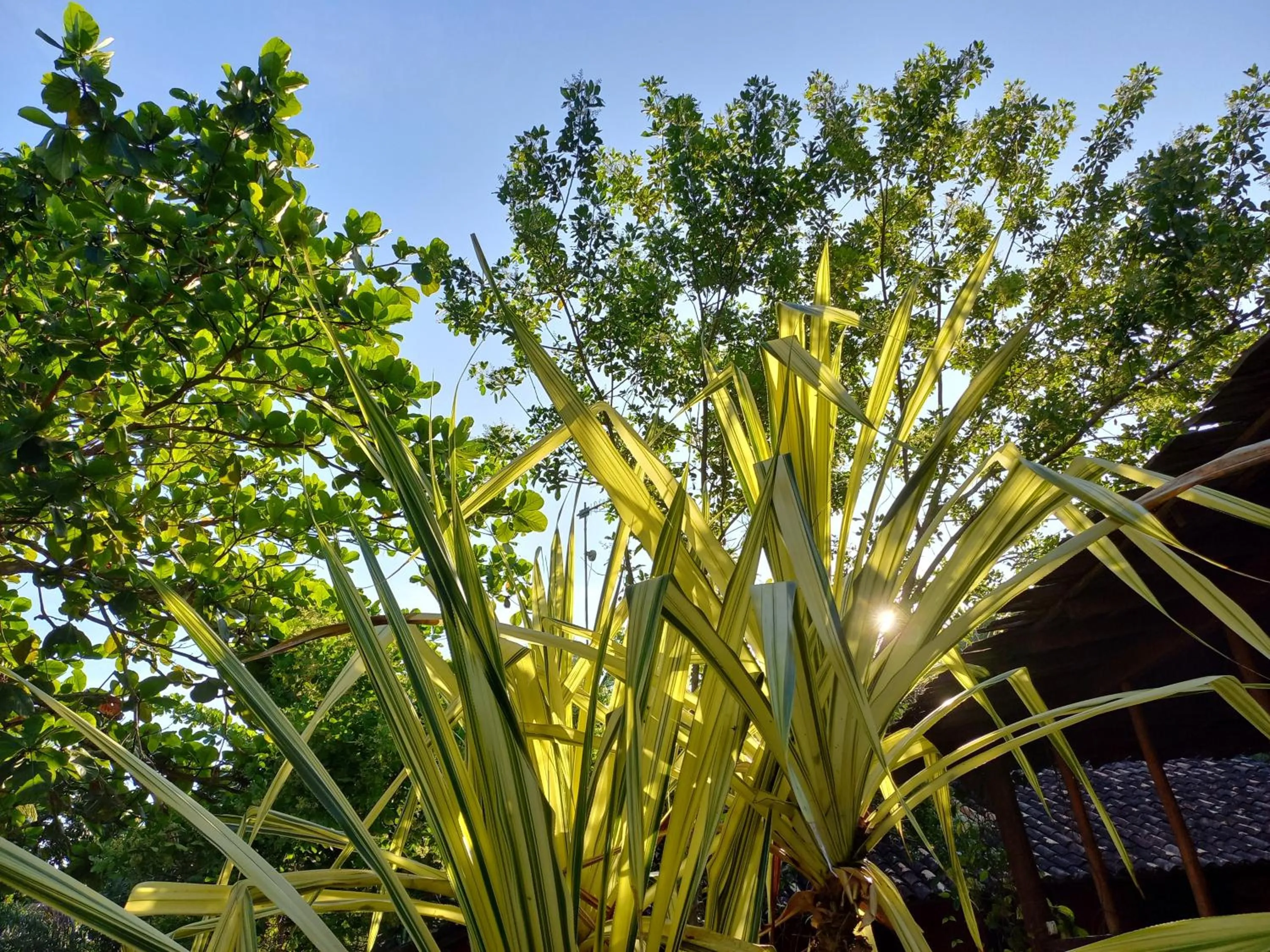 Spring in Bangalôs da Aldeia Caraiva