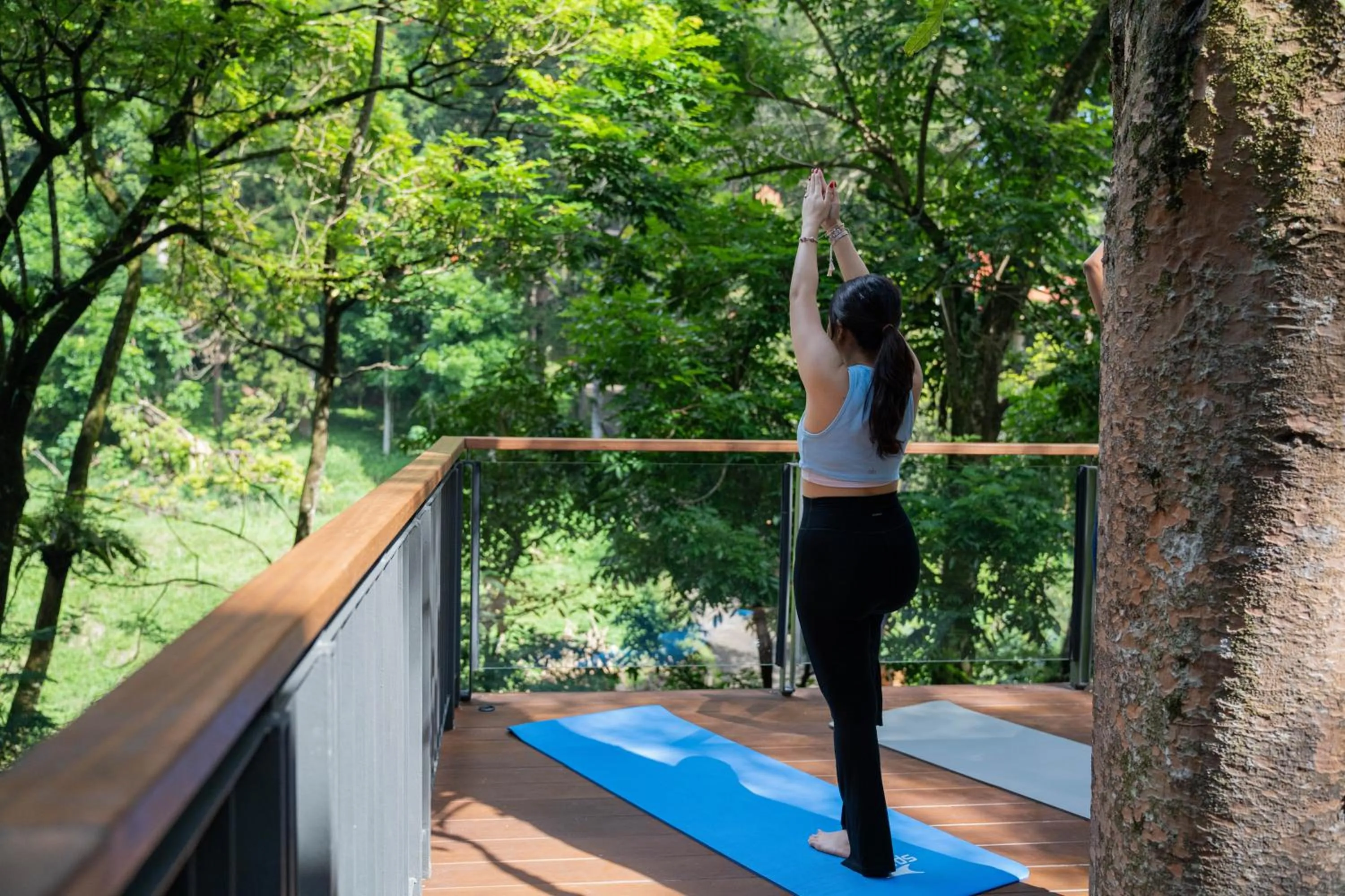 View (from property/room) in Plataran Puncak Residences