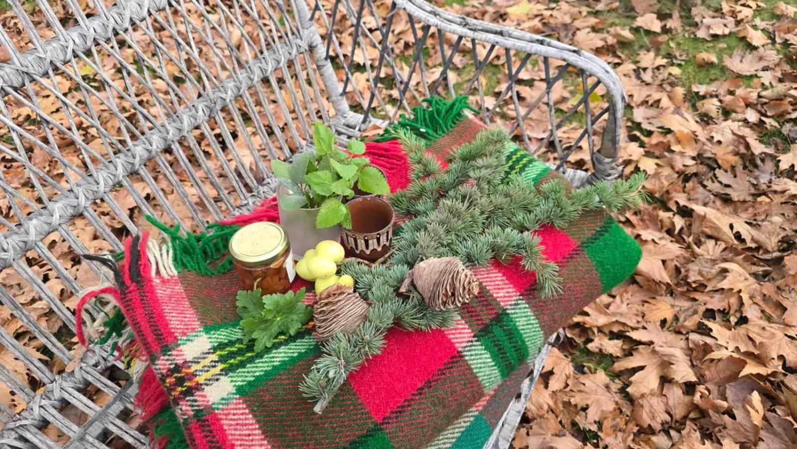 Galeria In The Garden