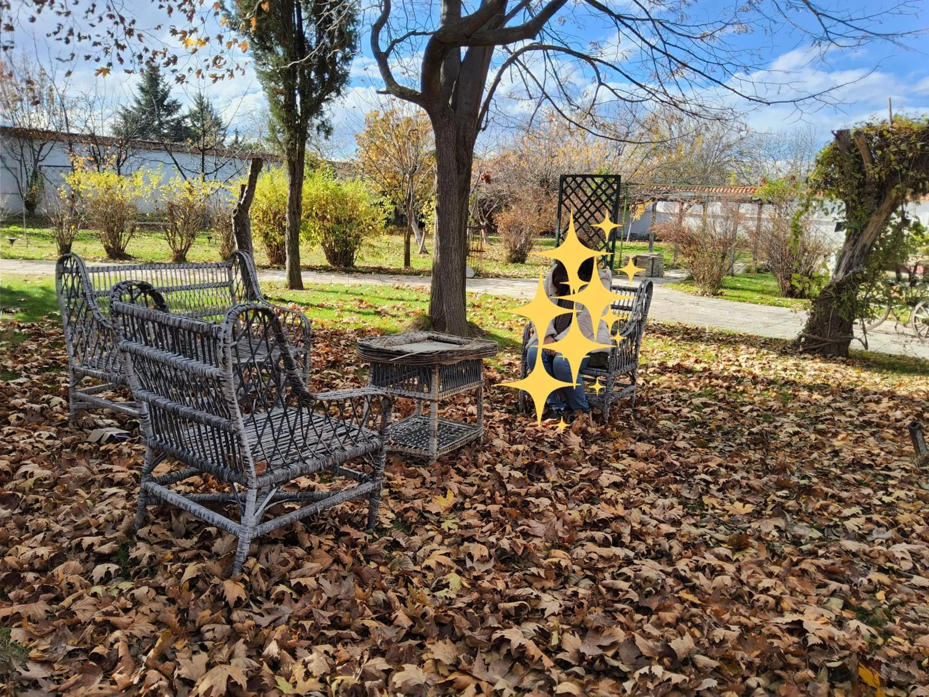 Galeria In The Garden