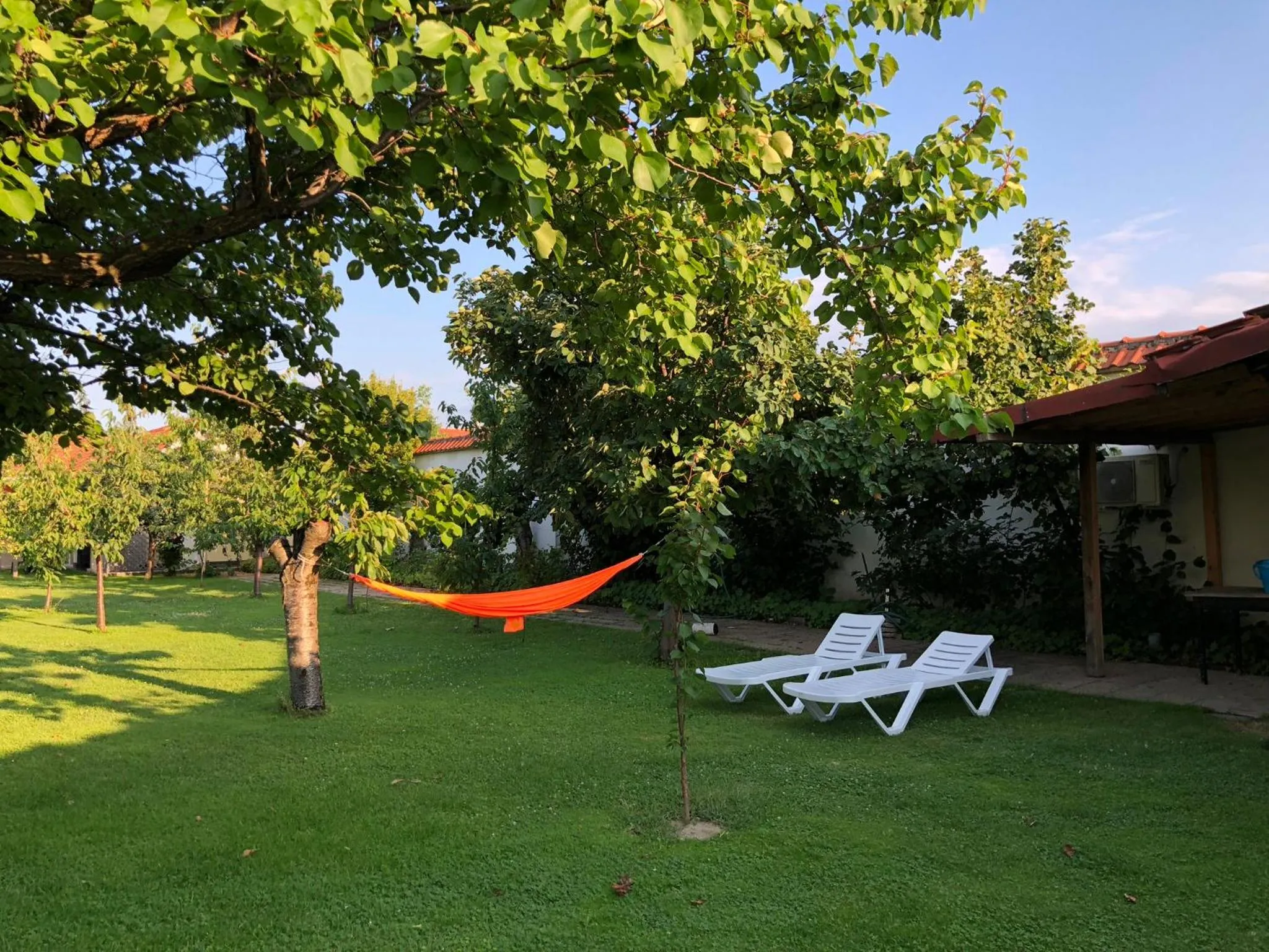 Summer in Galeria In The Garden