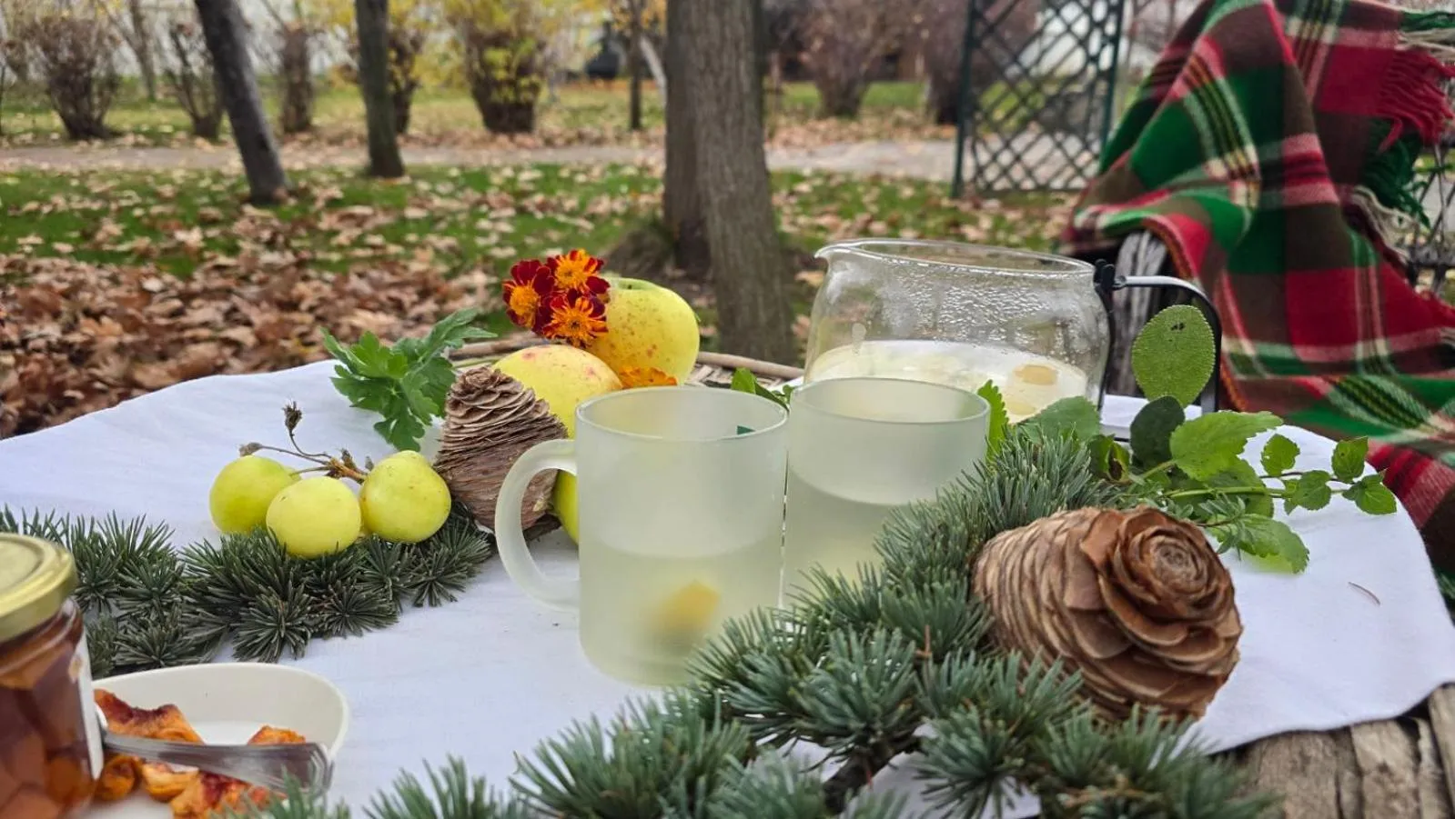 Galeria In The Garden