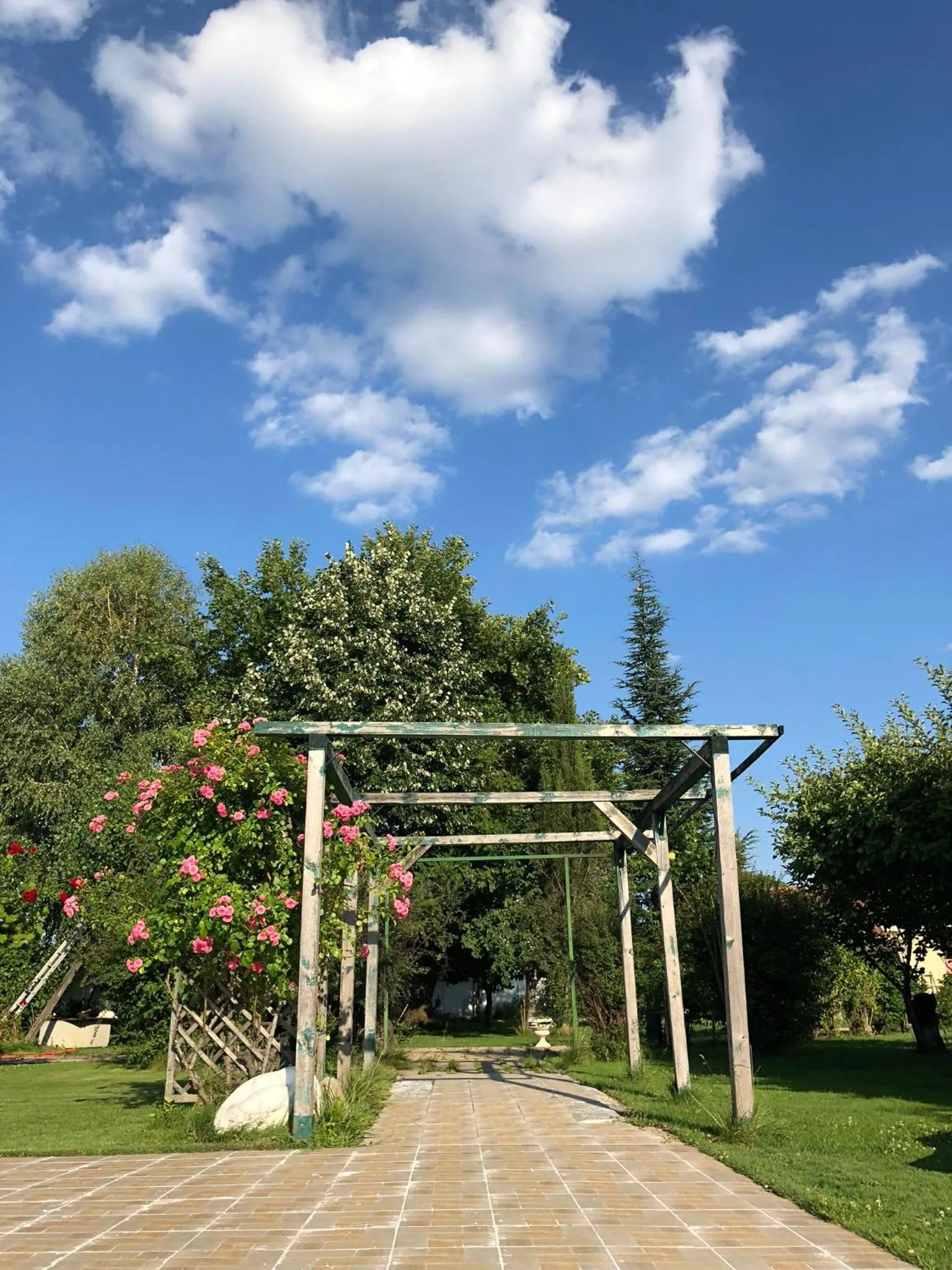 Summer in Galeria In The Garden