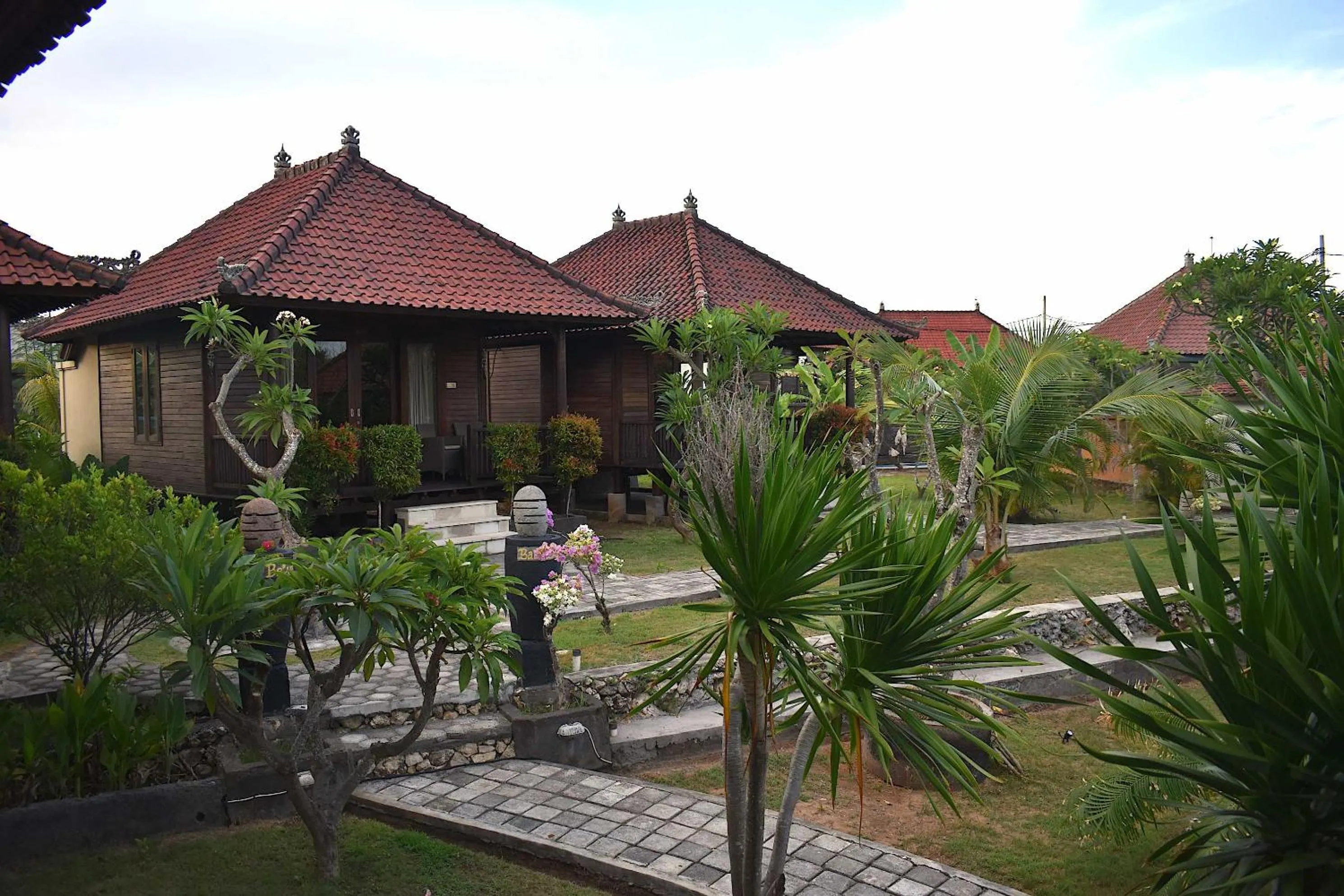 Garden in Bali Belva