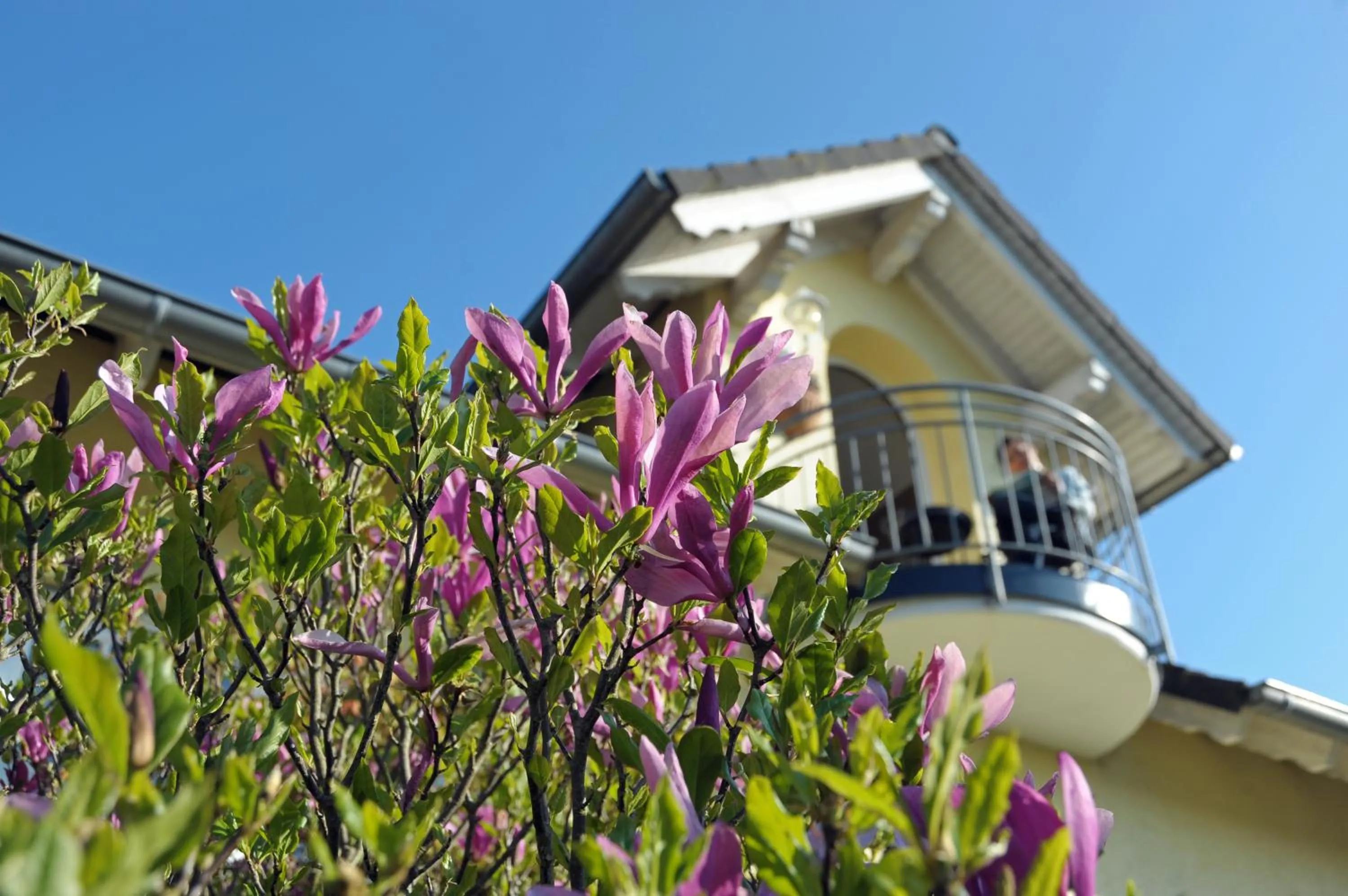 Bird's eye view in Ferienwohnung Landfein Schalkenmehren