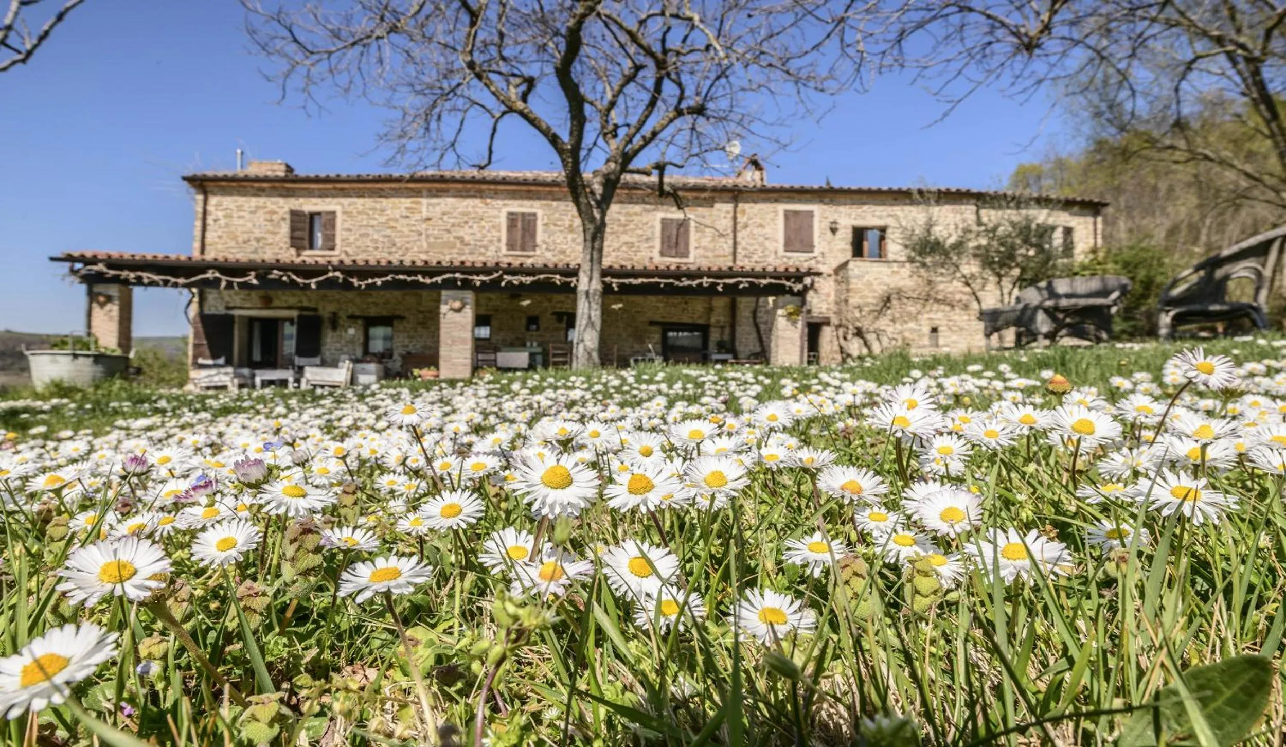 Spring in Le Bumbarelle