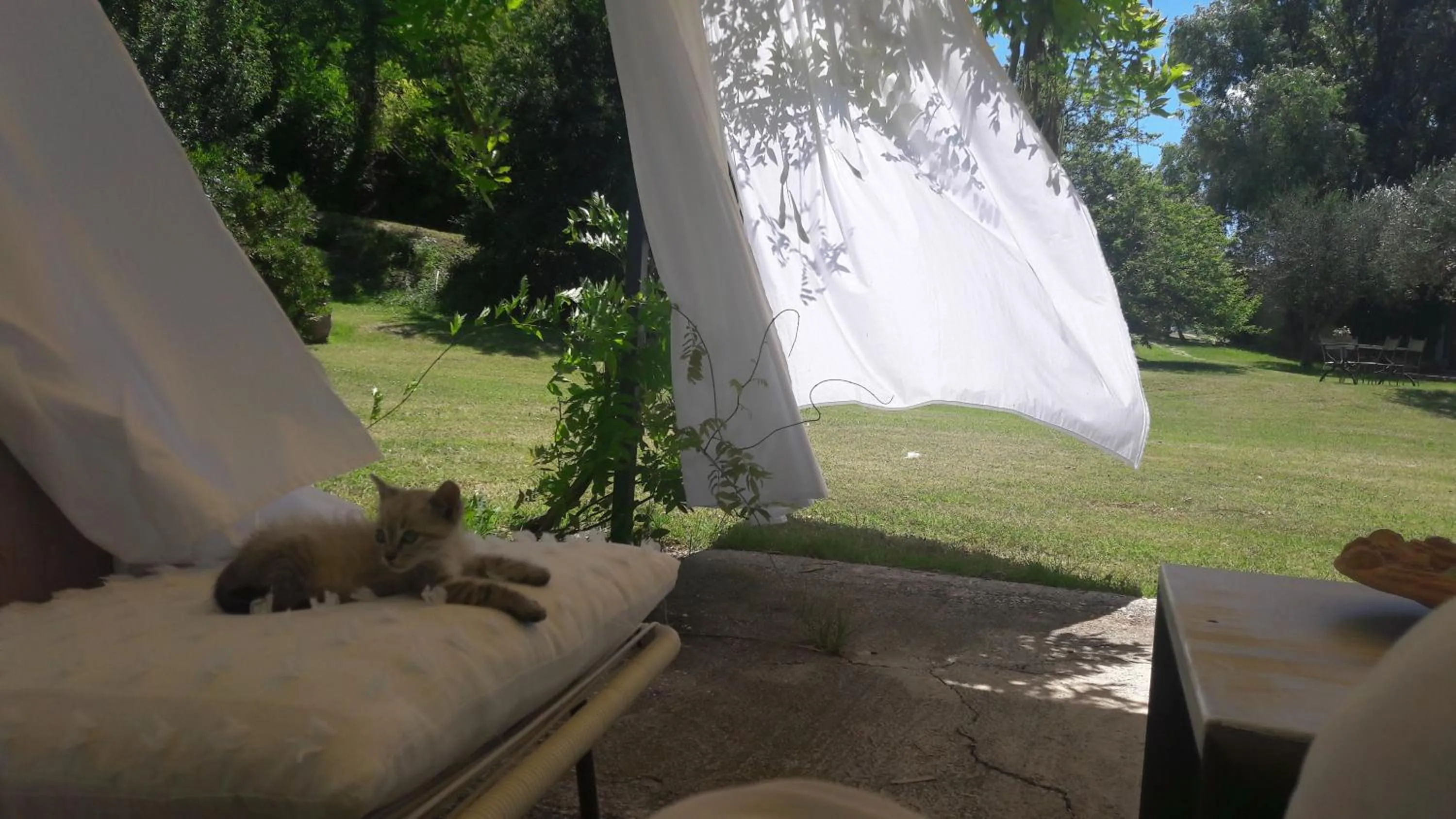 Garden in Le Bumbarelle