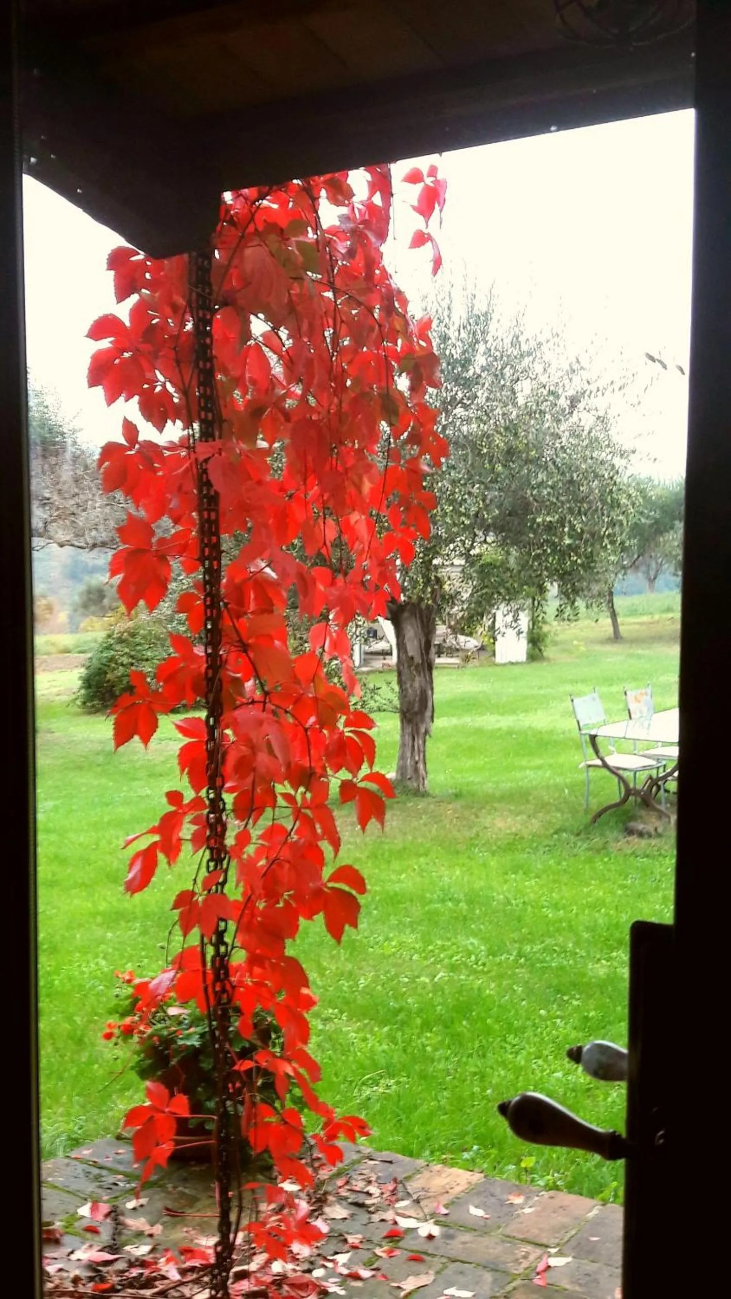 Floor plan in Le Bumbarelle