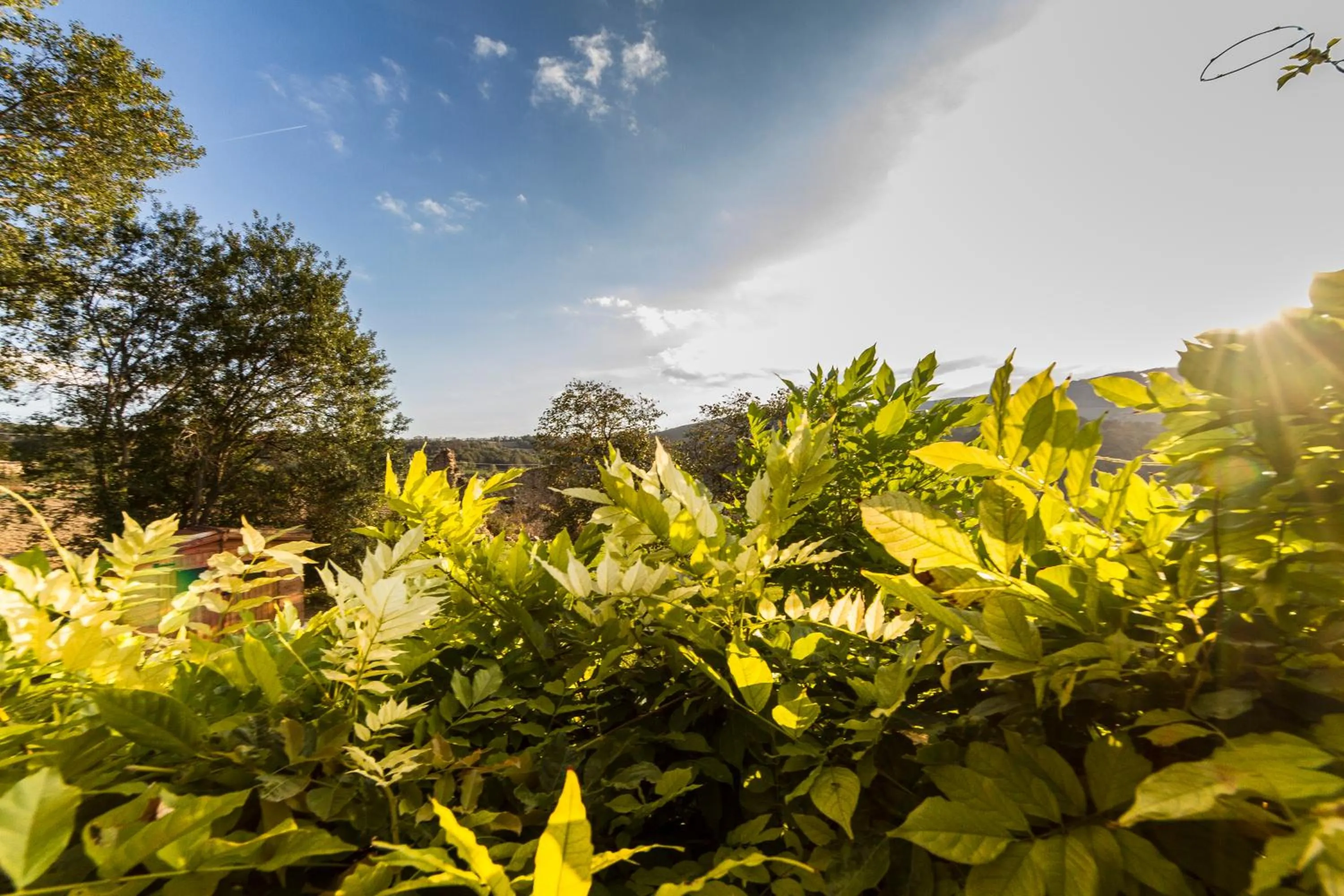 Garden in Le Bumbarelle