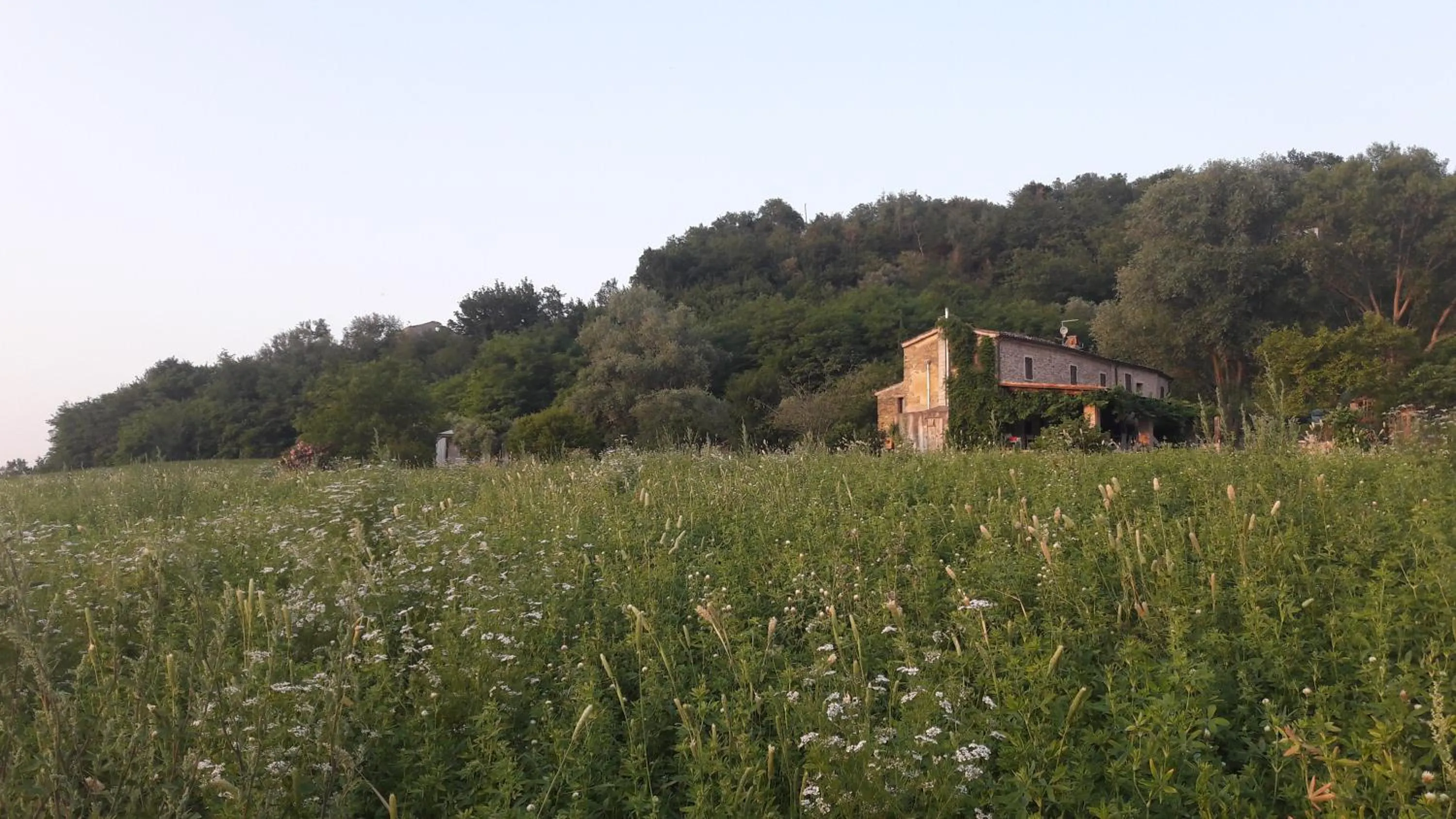 Natural landscape in Le Bumbarelle
