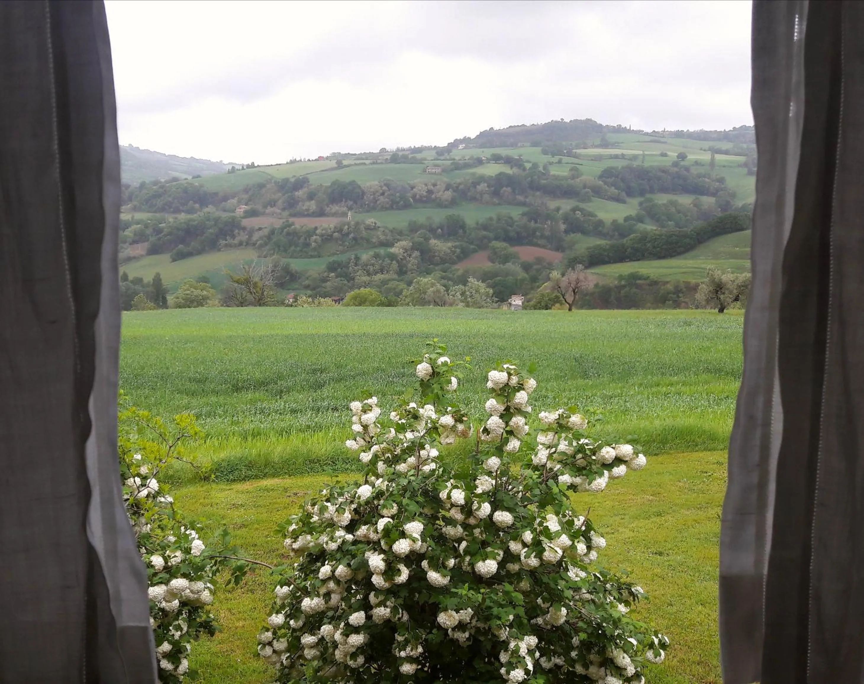 Garden in Le Bumbarelle