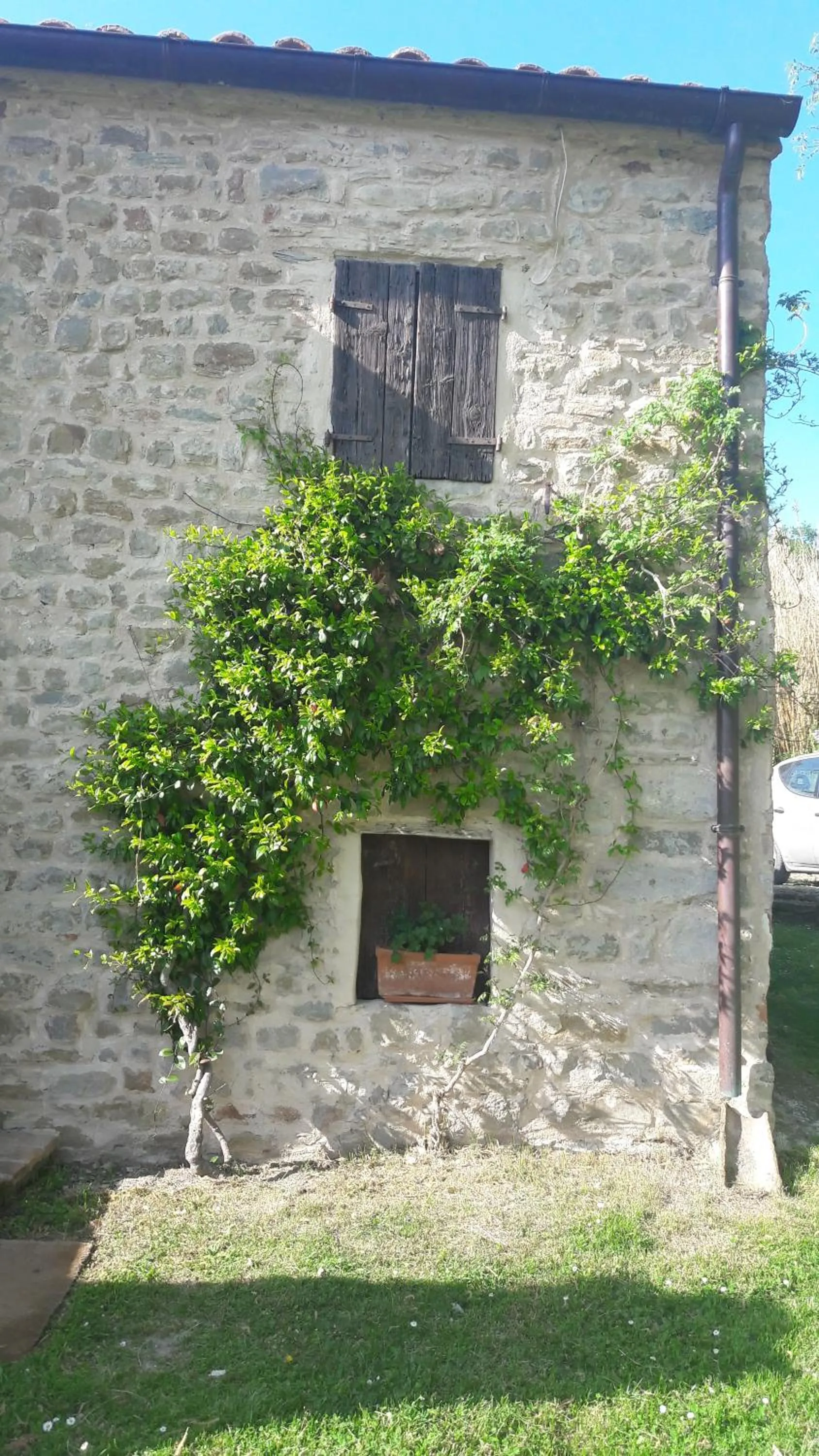 Facade/entrance in Le Bumbarelle