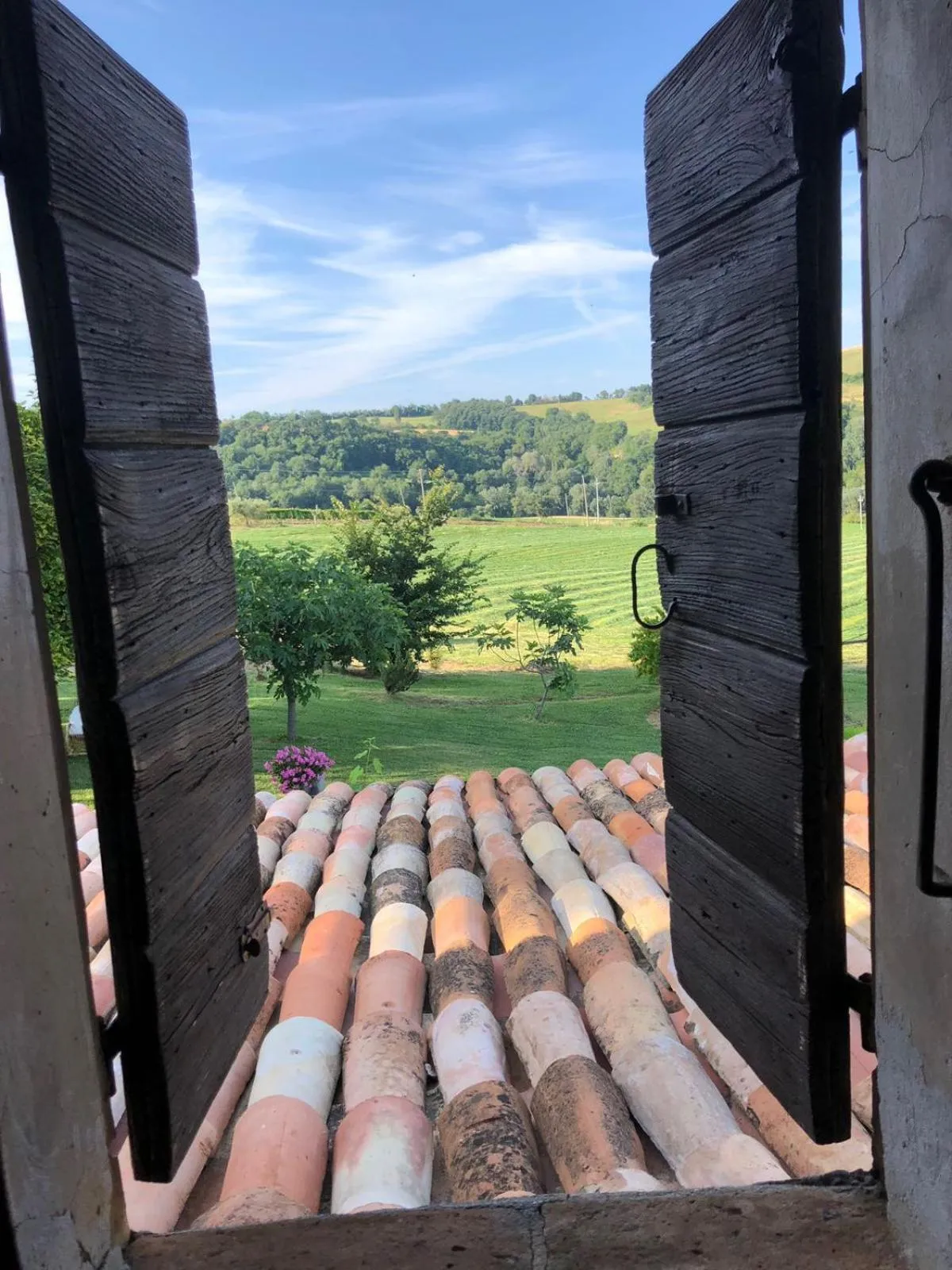 Garden view in Le Bumbarelle