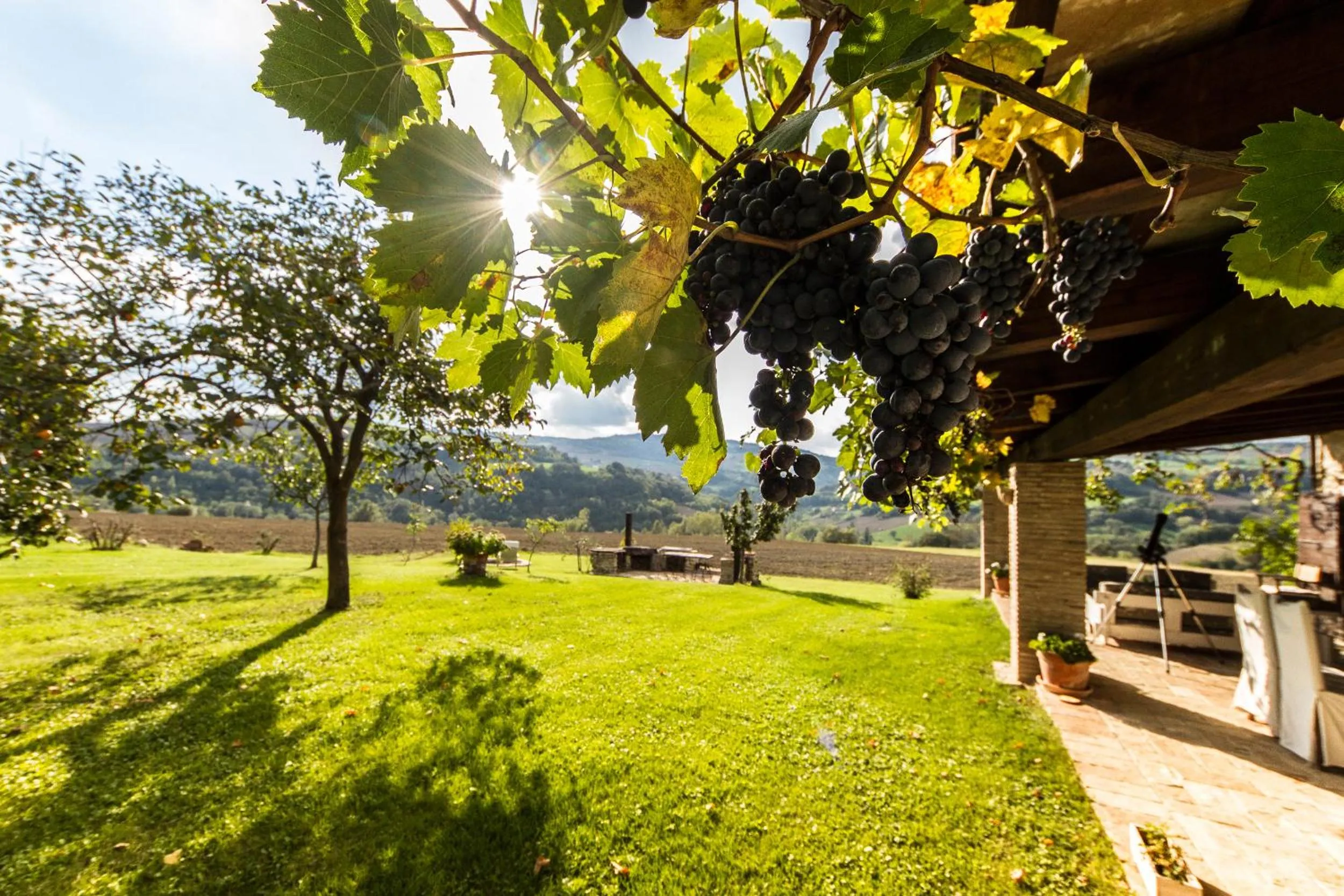 Patio in Le Bumbarelle
