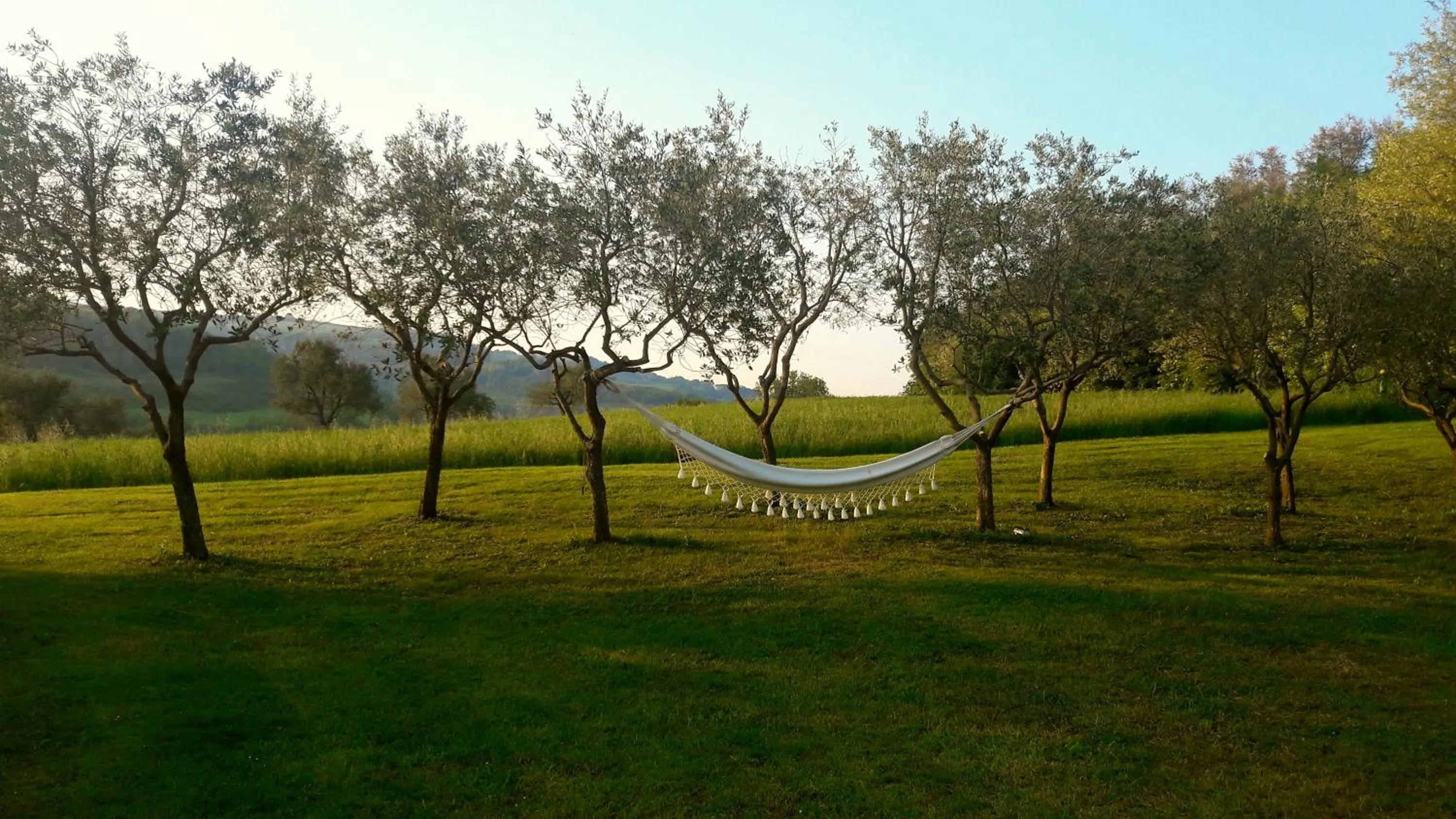Garden in Le Bumbarelle
