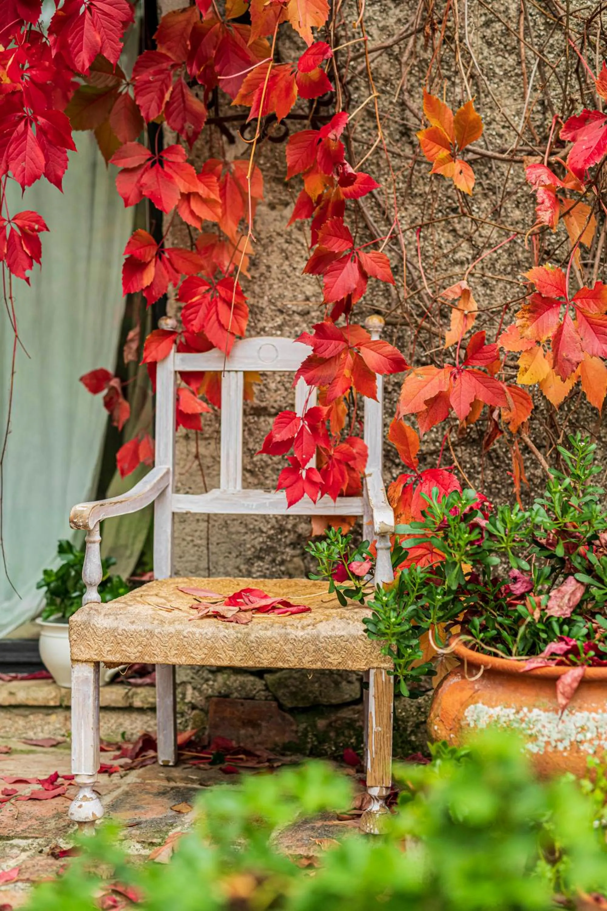 Garden in Le Bumbarelle