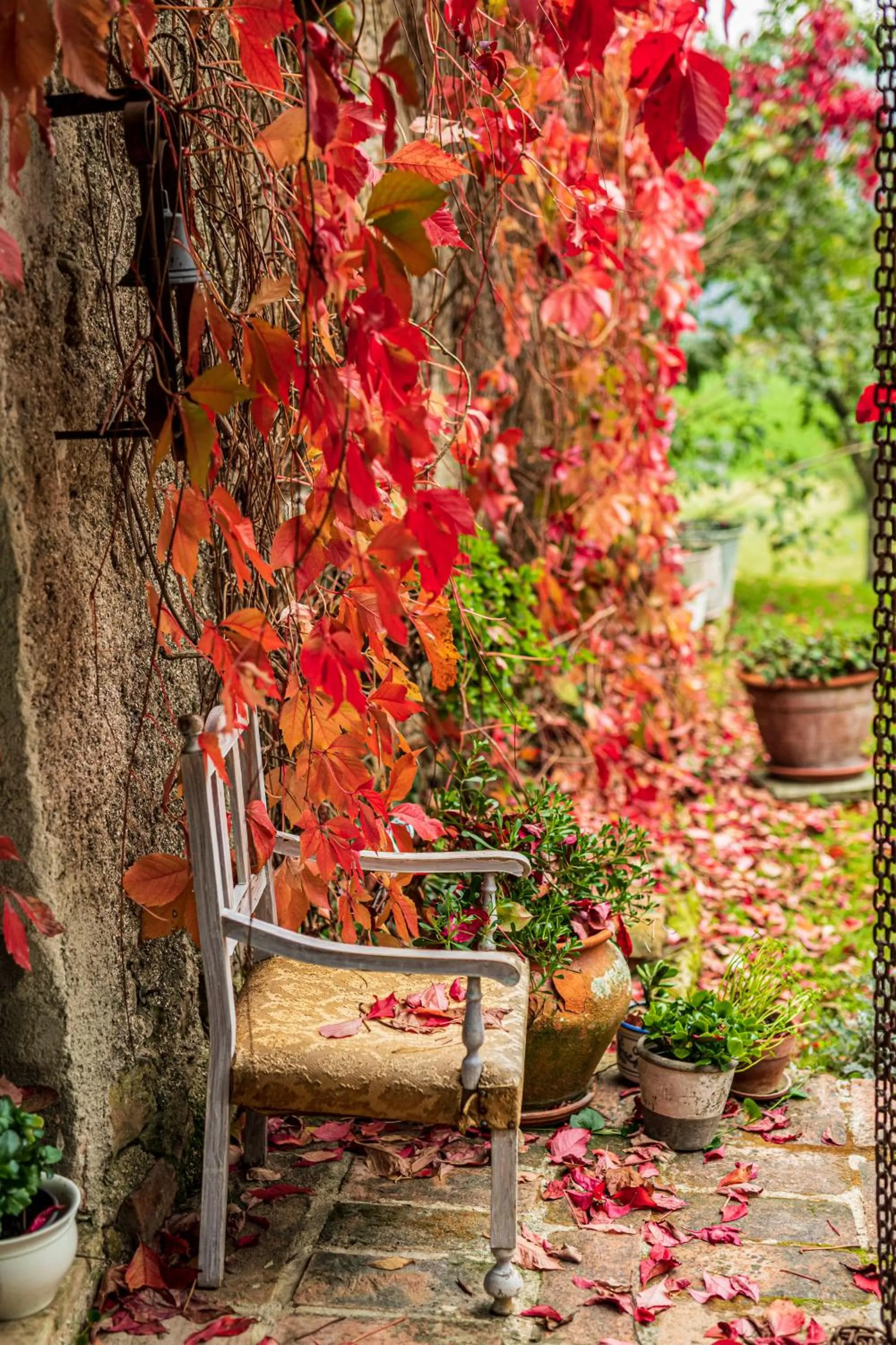 Garden in Le Bumbarelle