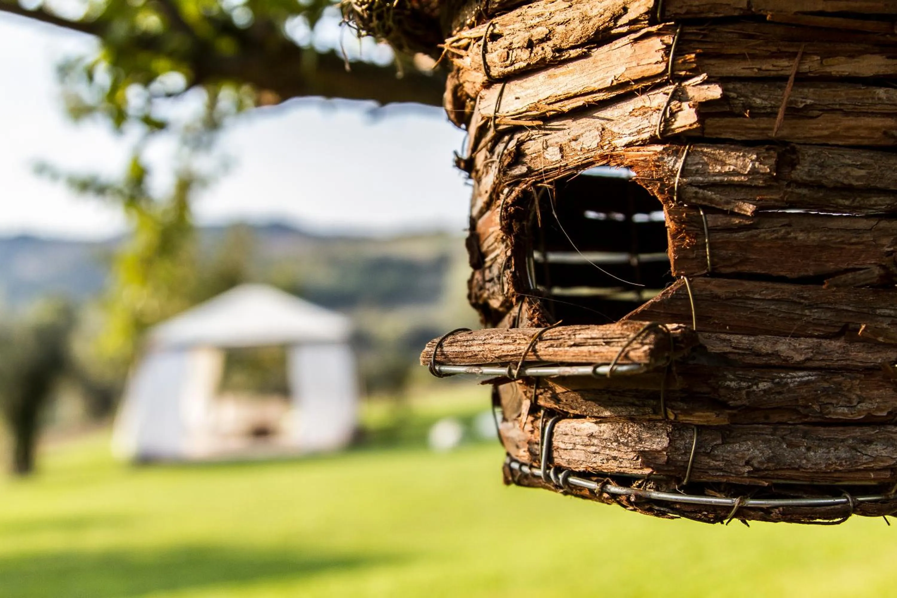 Garden in Le Bumbarelle