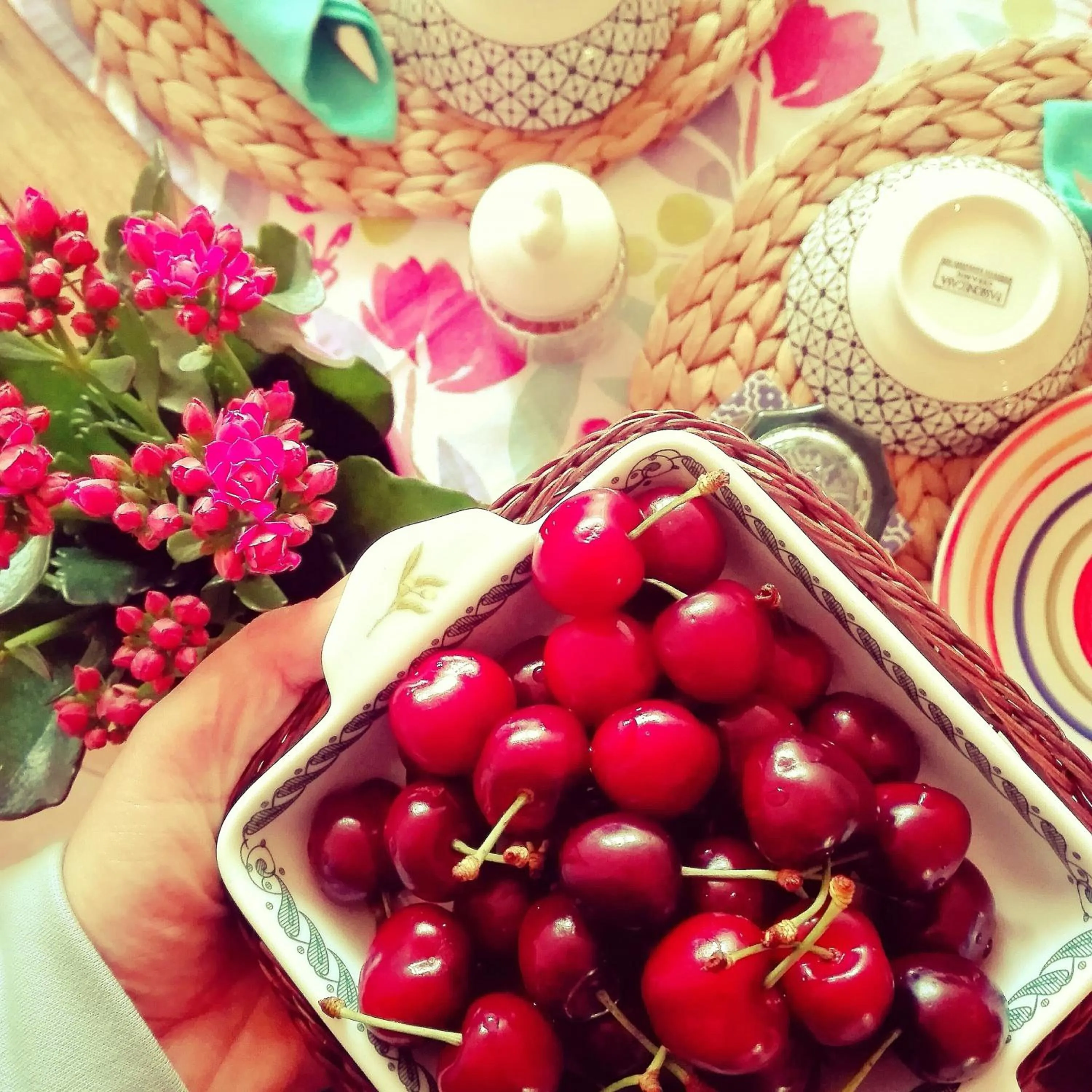 Breakfast in Il Sentiero B&Bìo