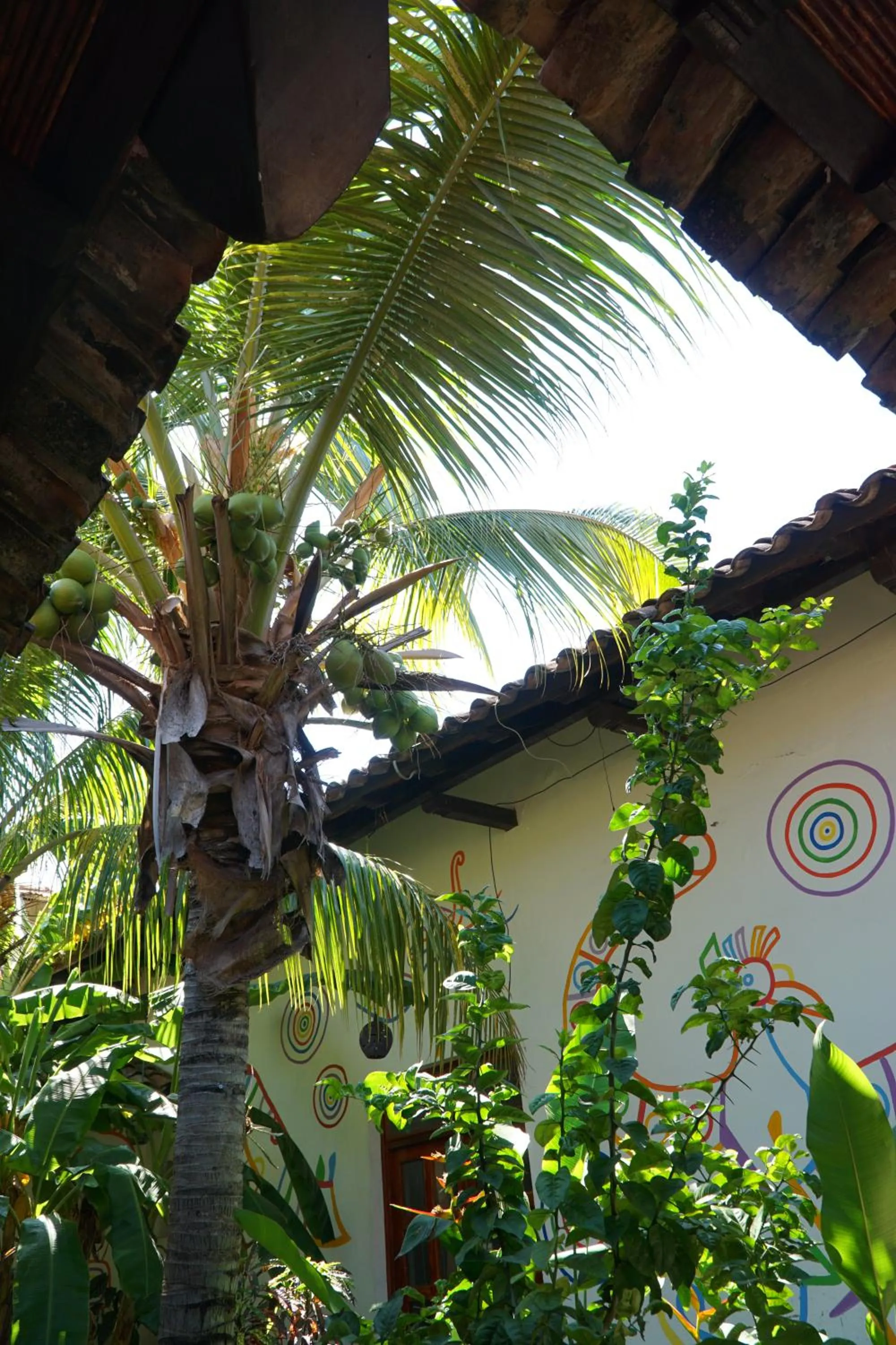 Natural landscape in Cueva Nica