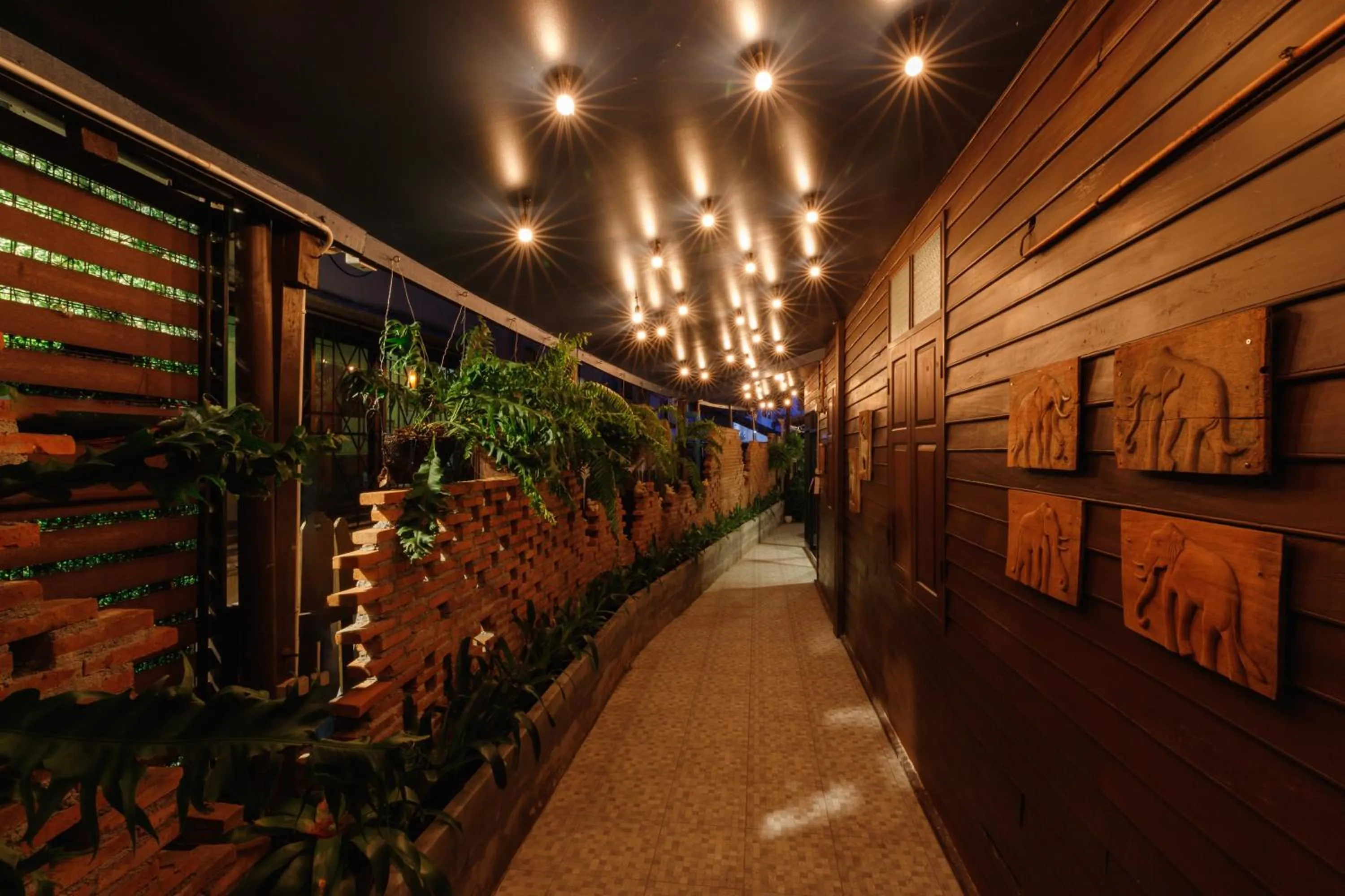 Night in ILILI House