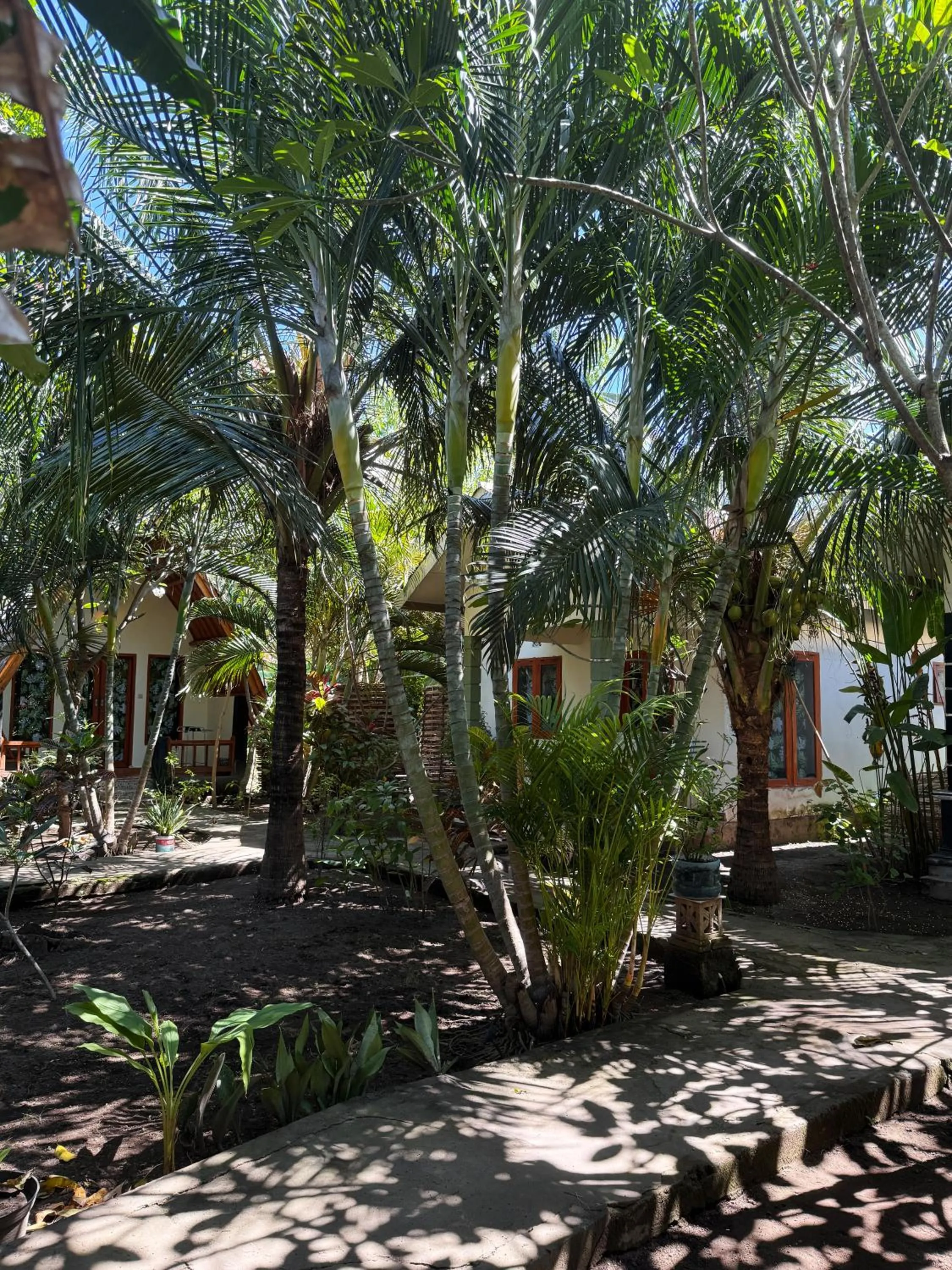 Garden view in Florine's Garden