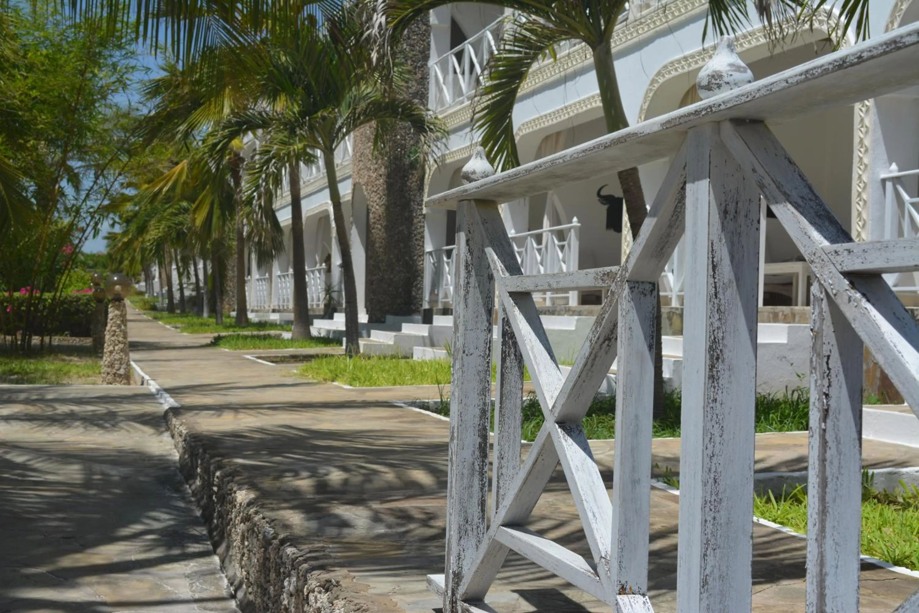 Garden in Twiga Beach Resort