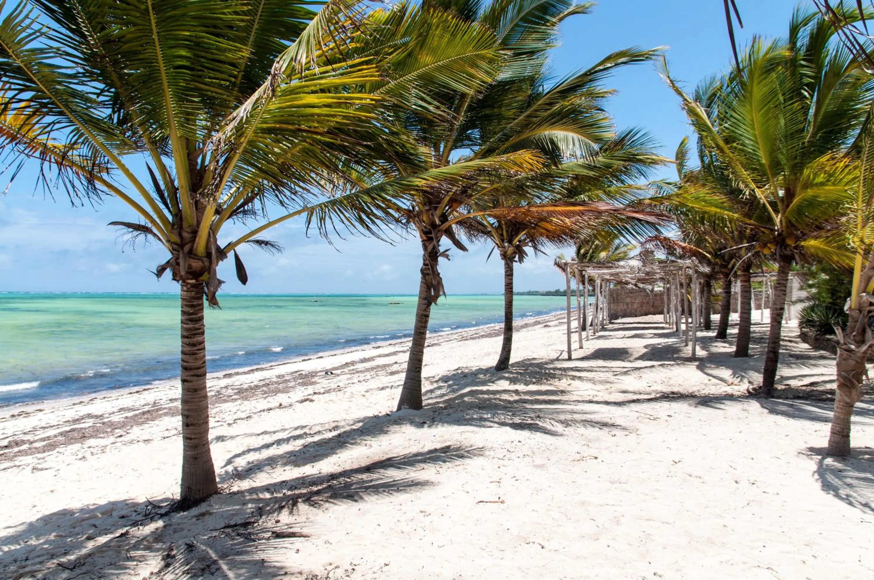 Beach in Twiga Beach Resort