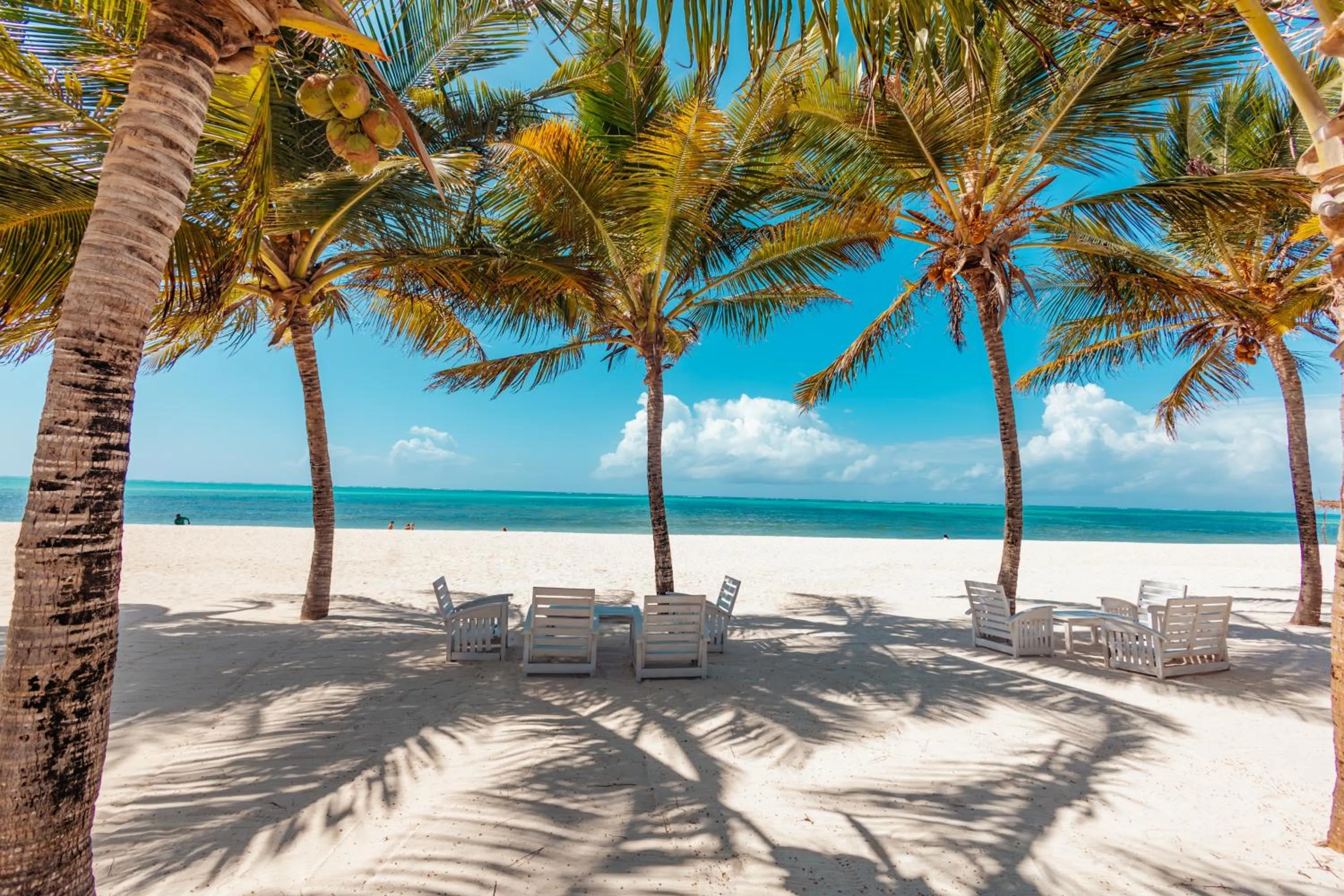 Beach in Twiga Beach Resort
