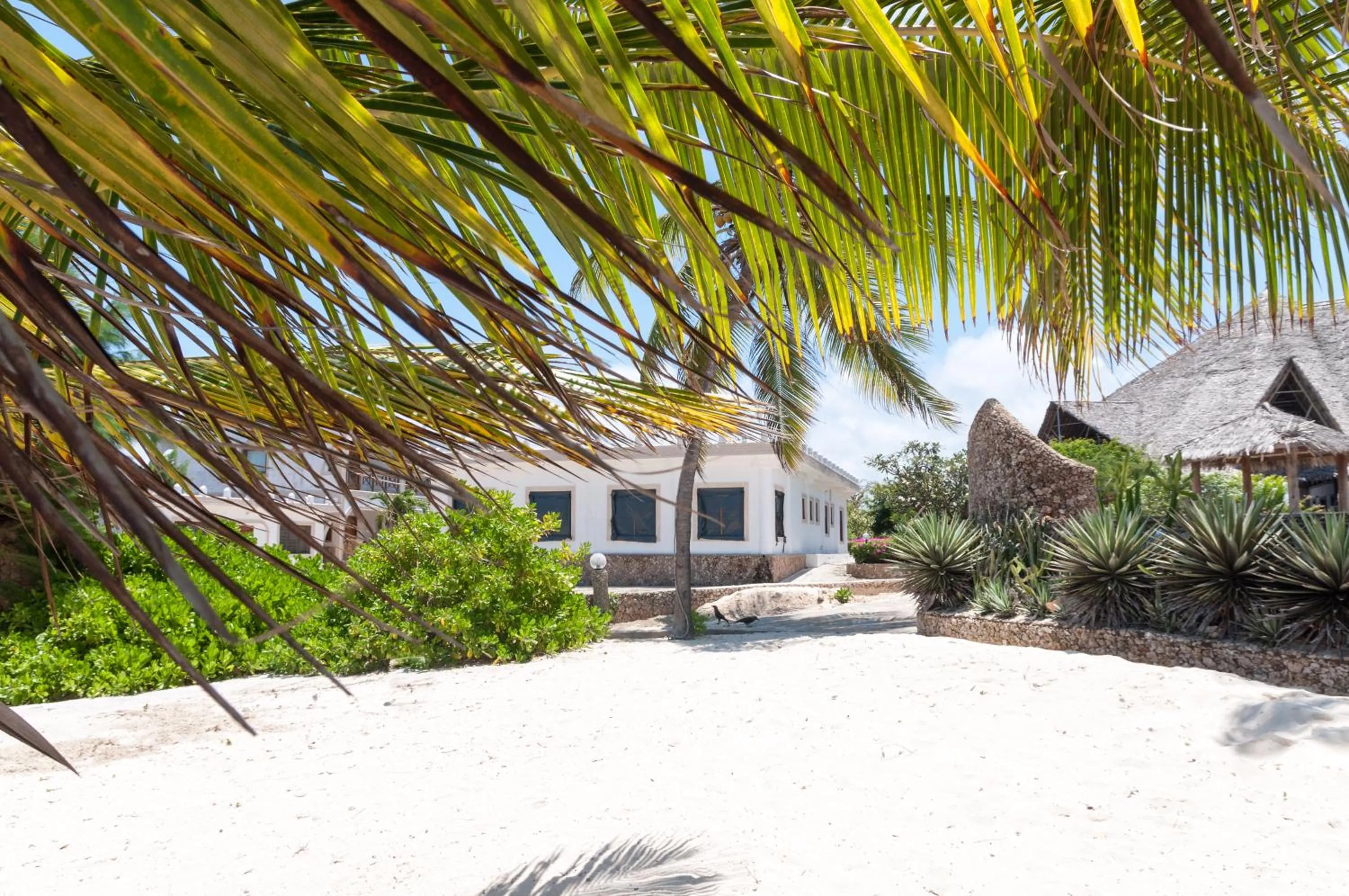 Property building in Twiga Beach Resort