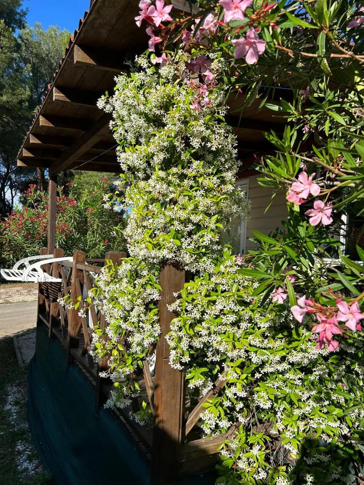 Camping Media Mobile Homes in Brioni Sunny Camping