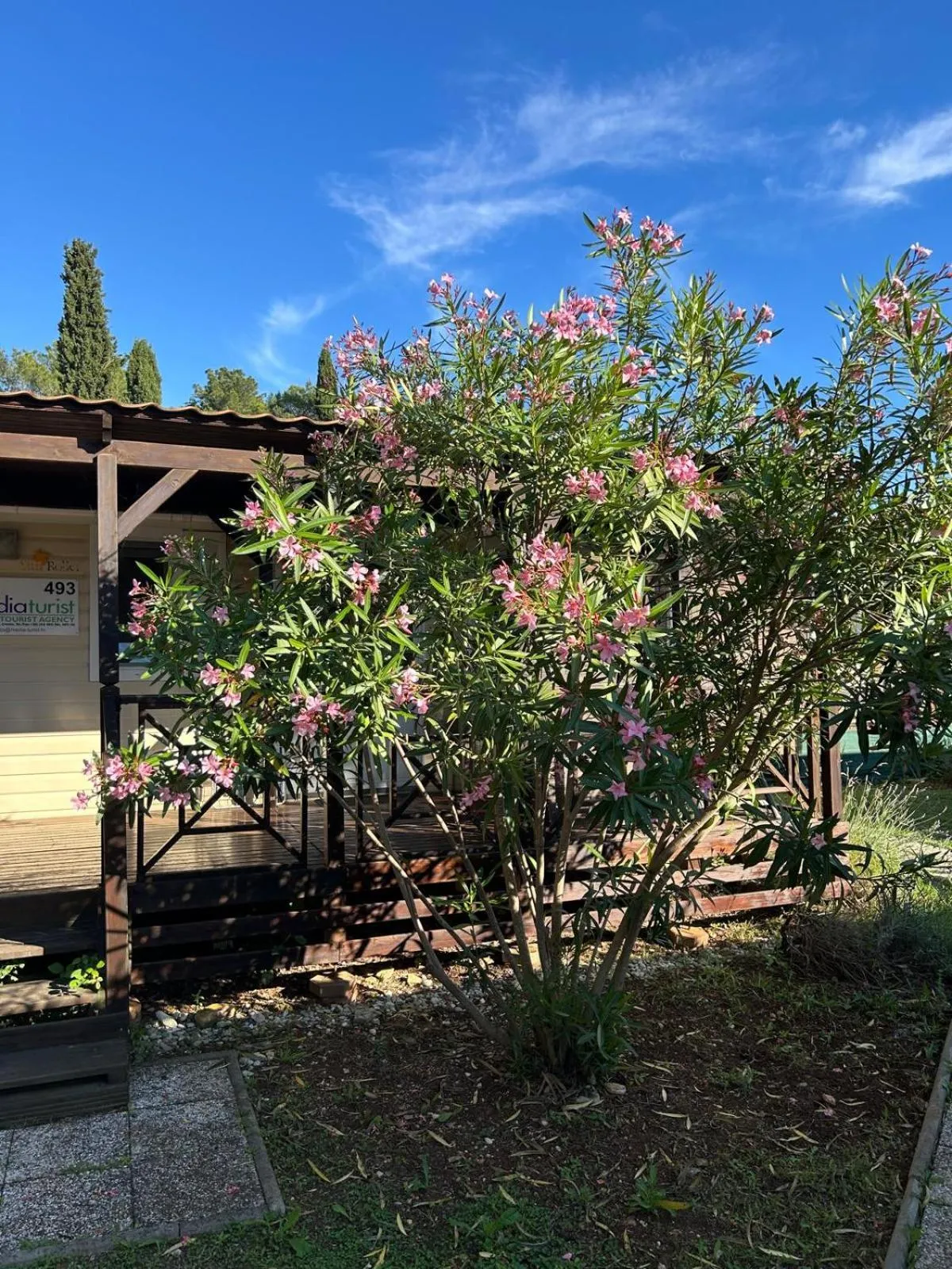 Camping Media Mobile Homes in Brioni Sunny Camping