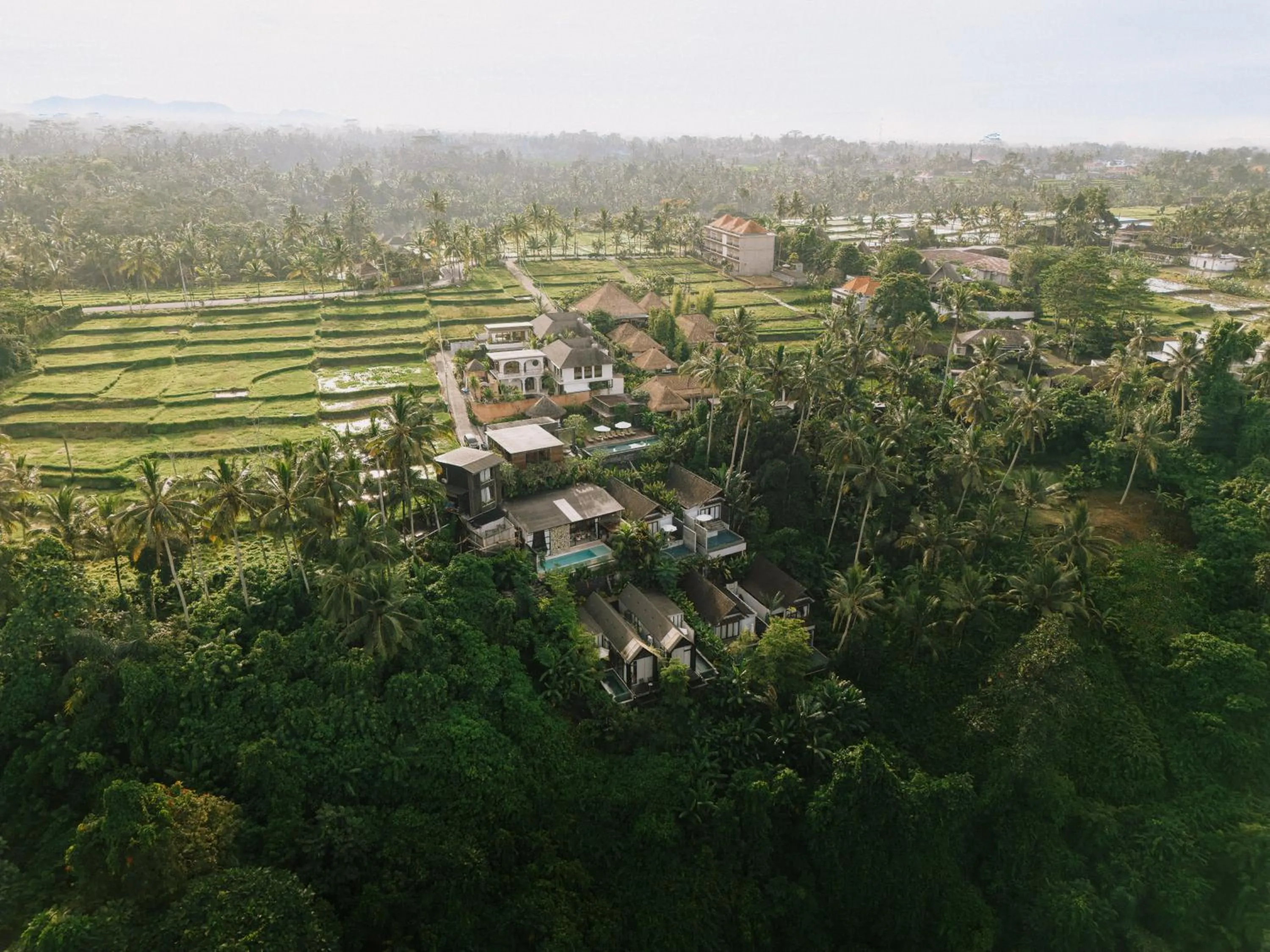 Natural landscape in Magical Jungle Resort