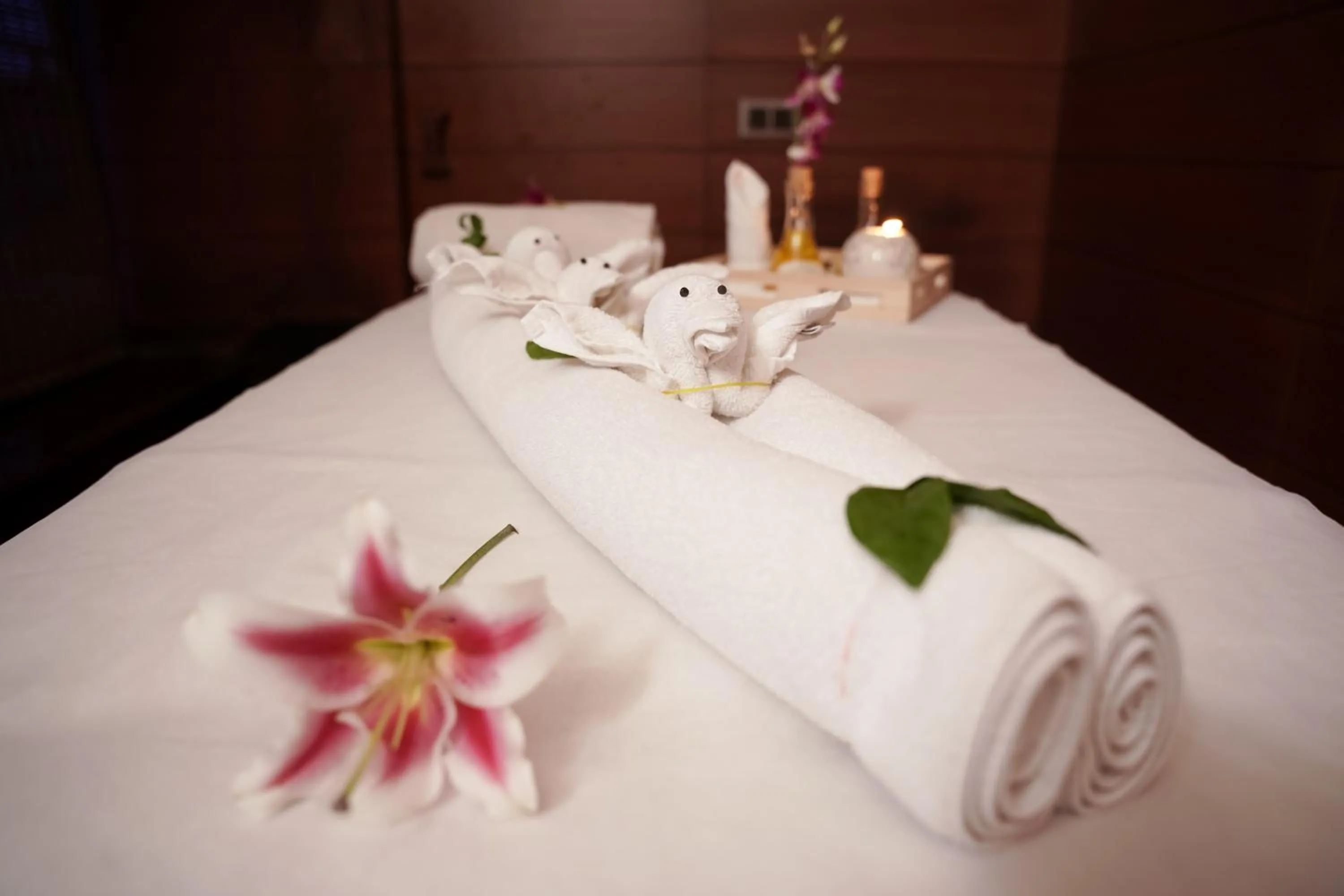 Spa and wellness centre/facilities in The Alcor Hotel