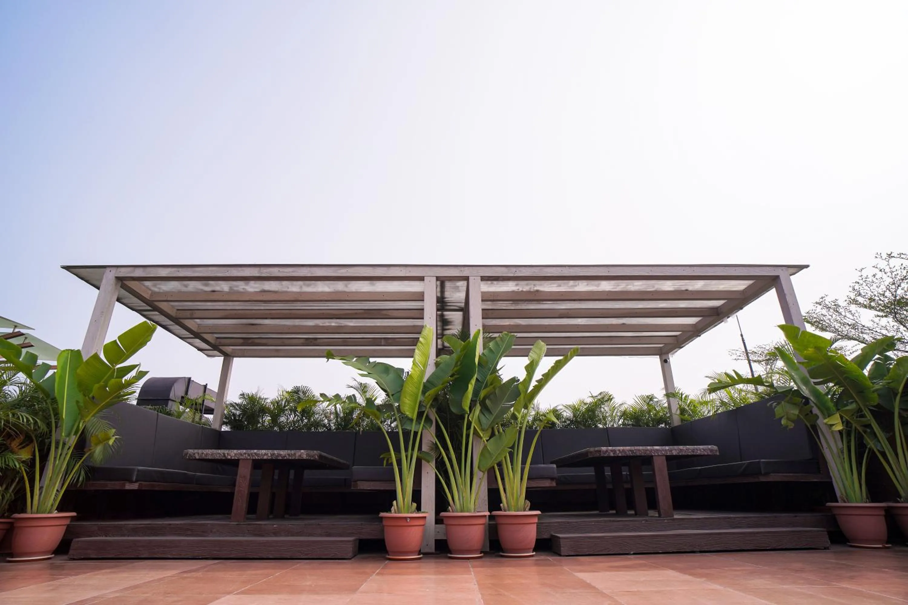 Balcony/Terrace in The Alcor Hotel