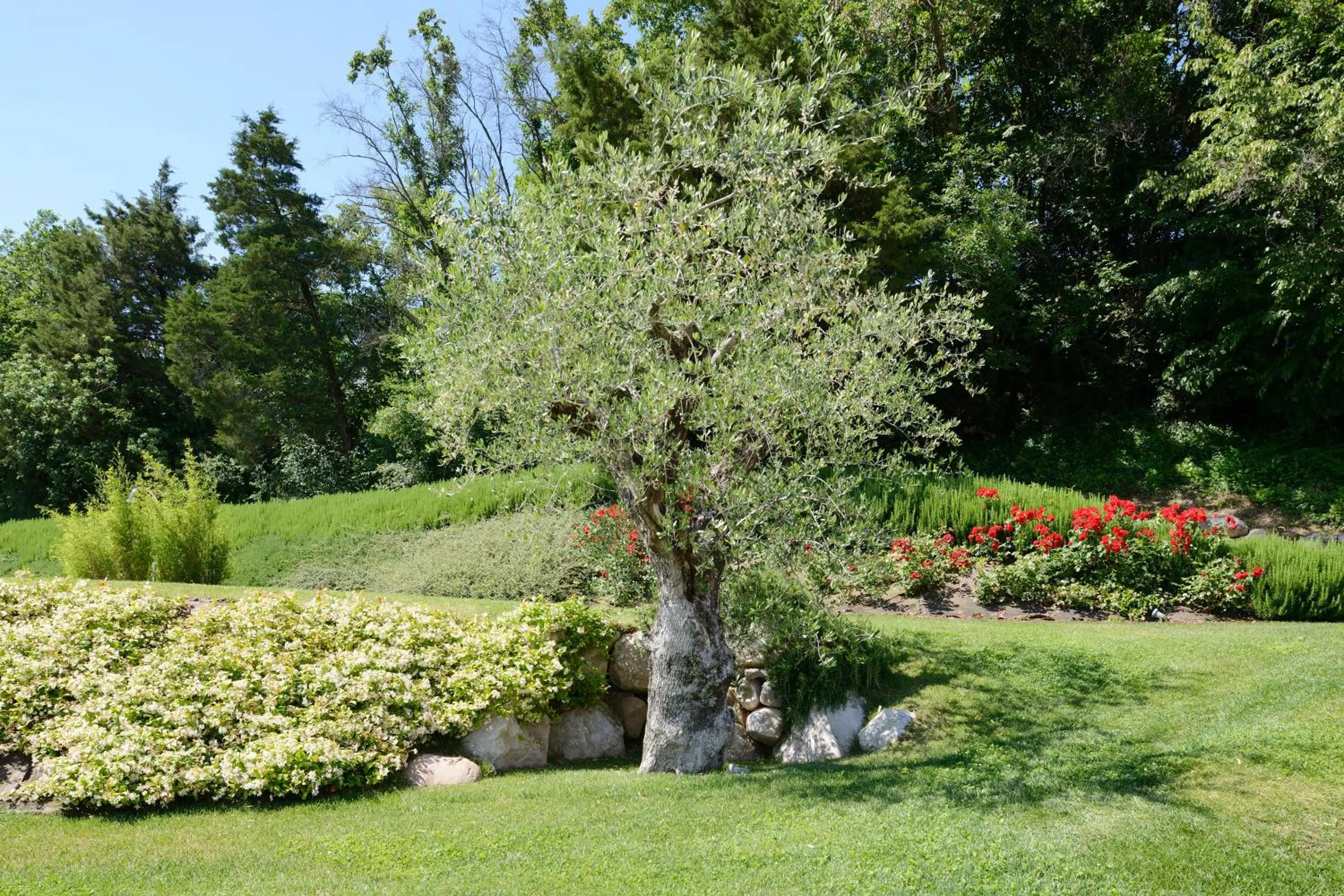 Garden in Relais Rossar Boutique Hotel Garda & Hills