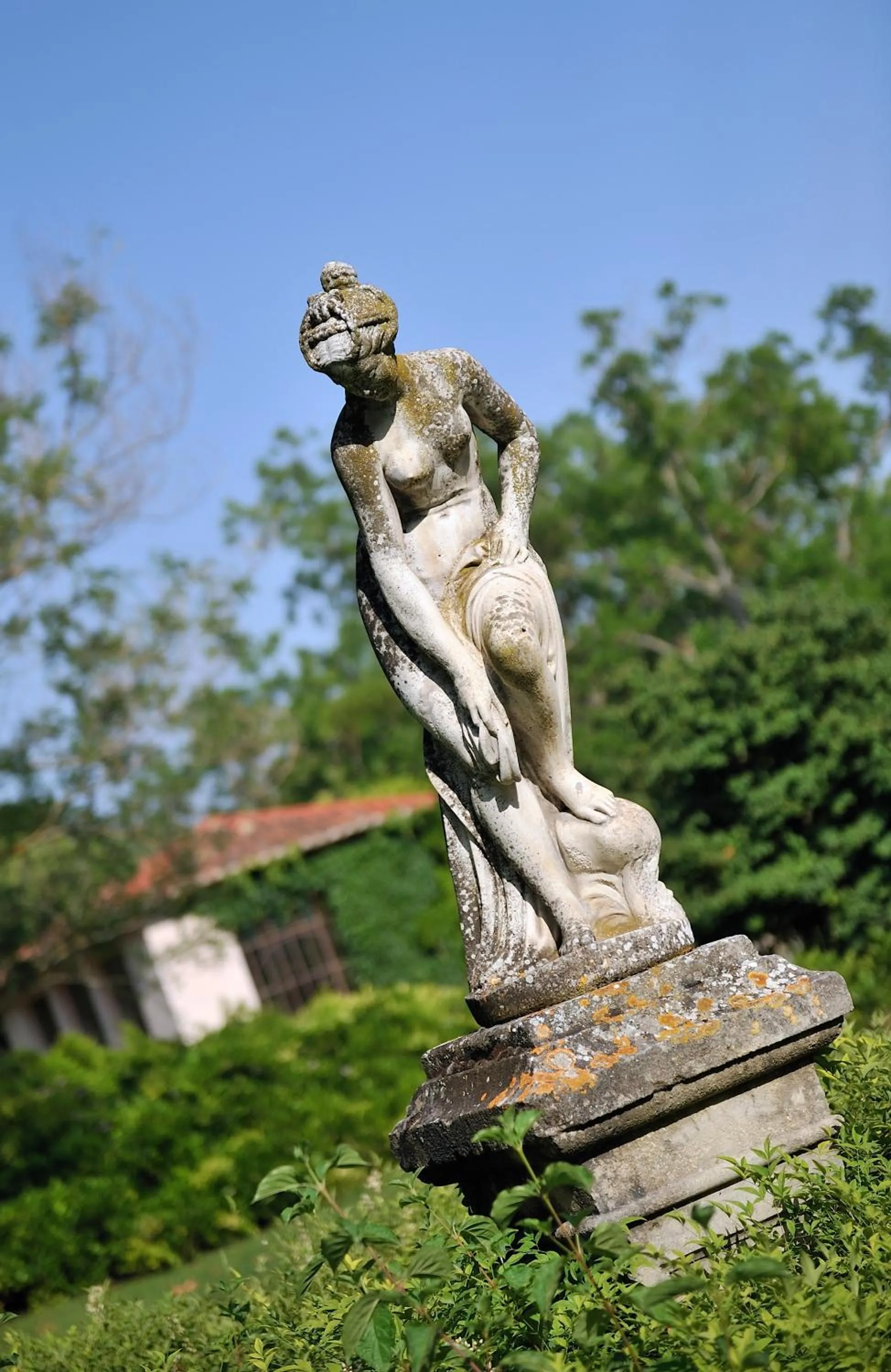 Garden in Demeures et Châteaux Hôtel L'Hermitage