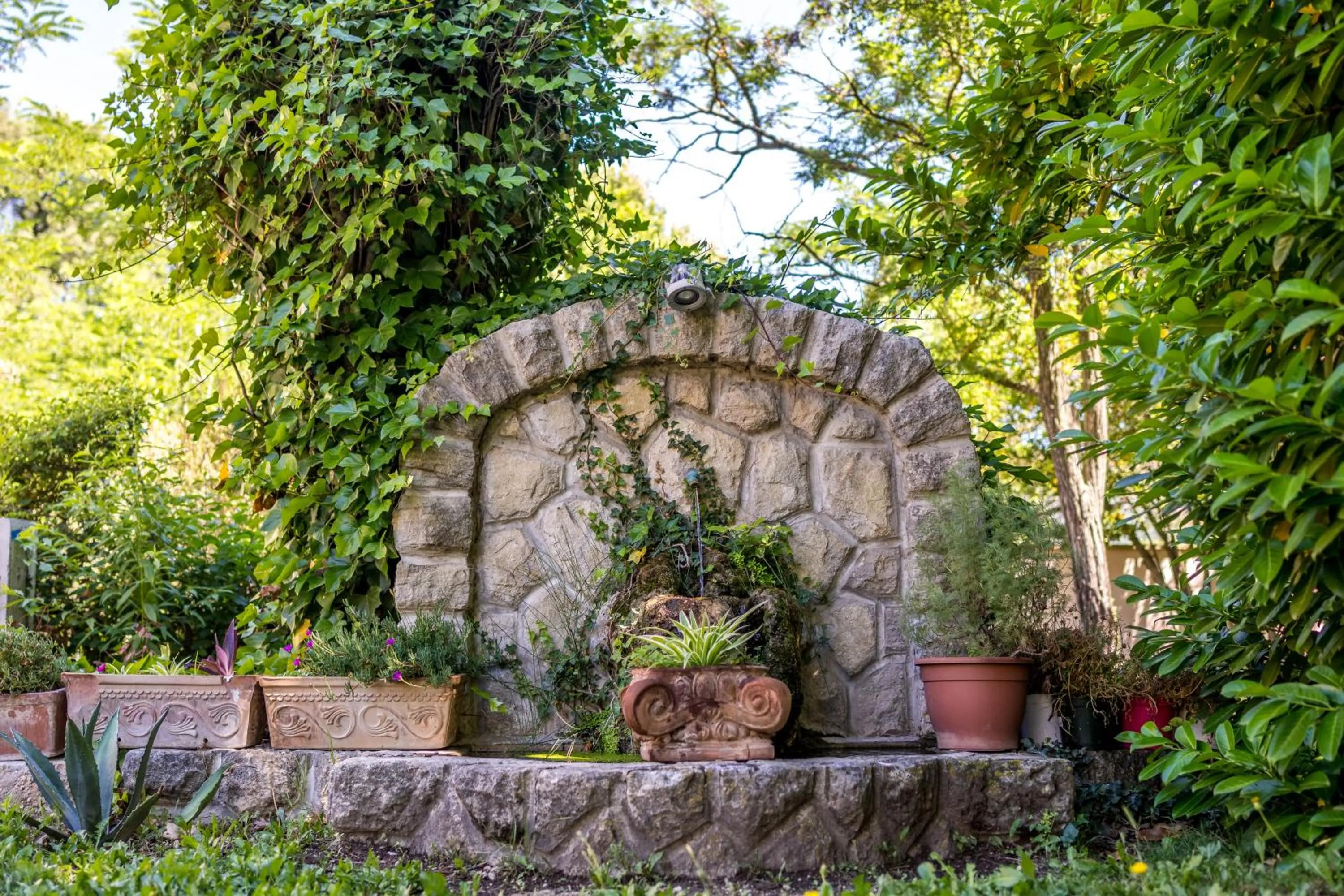Garden in Demeures et Châteaux Hôtel L'Hermitage