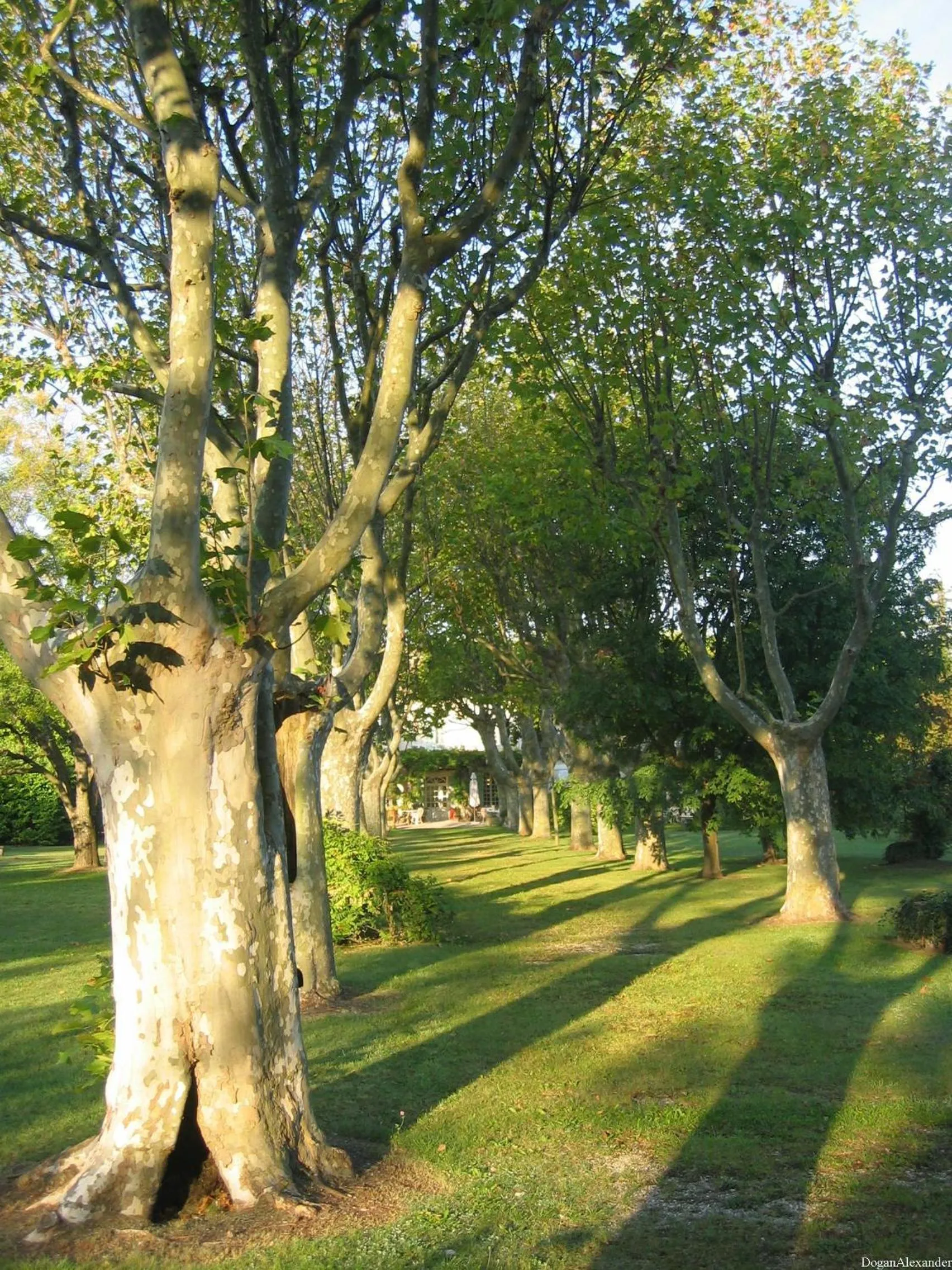 Garden in Demeures et Châteaux Hôtel L'Hermitage