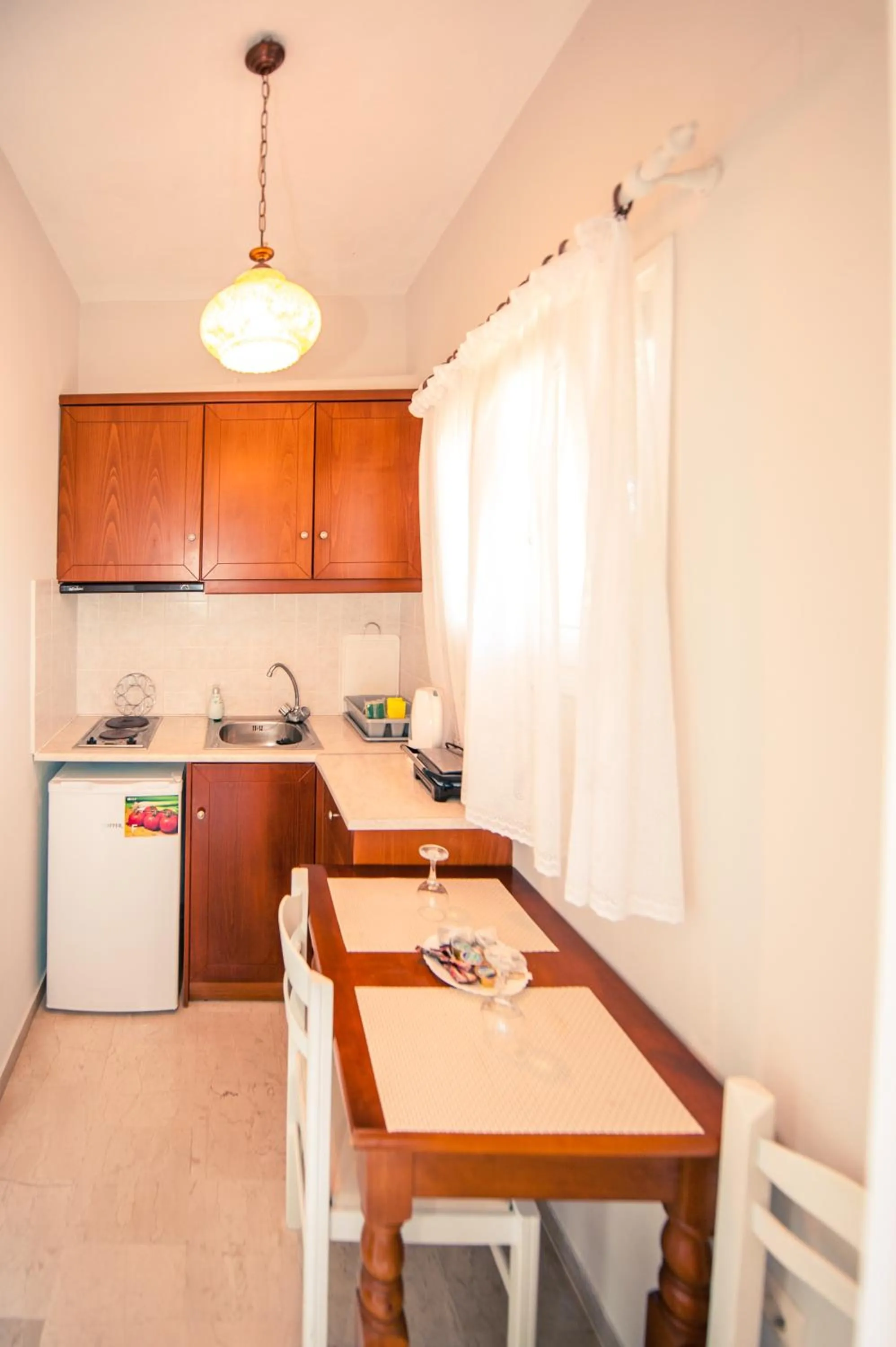 Kitchen or kitchenette in Vassilis Paradise Garden Aparthotel