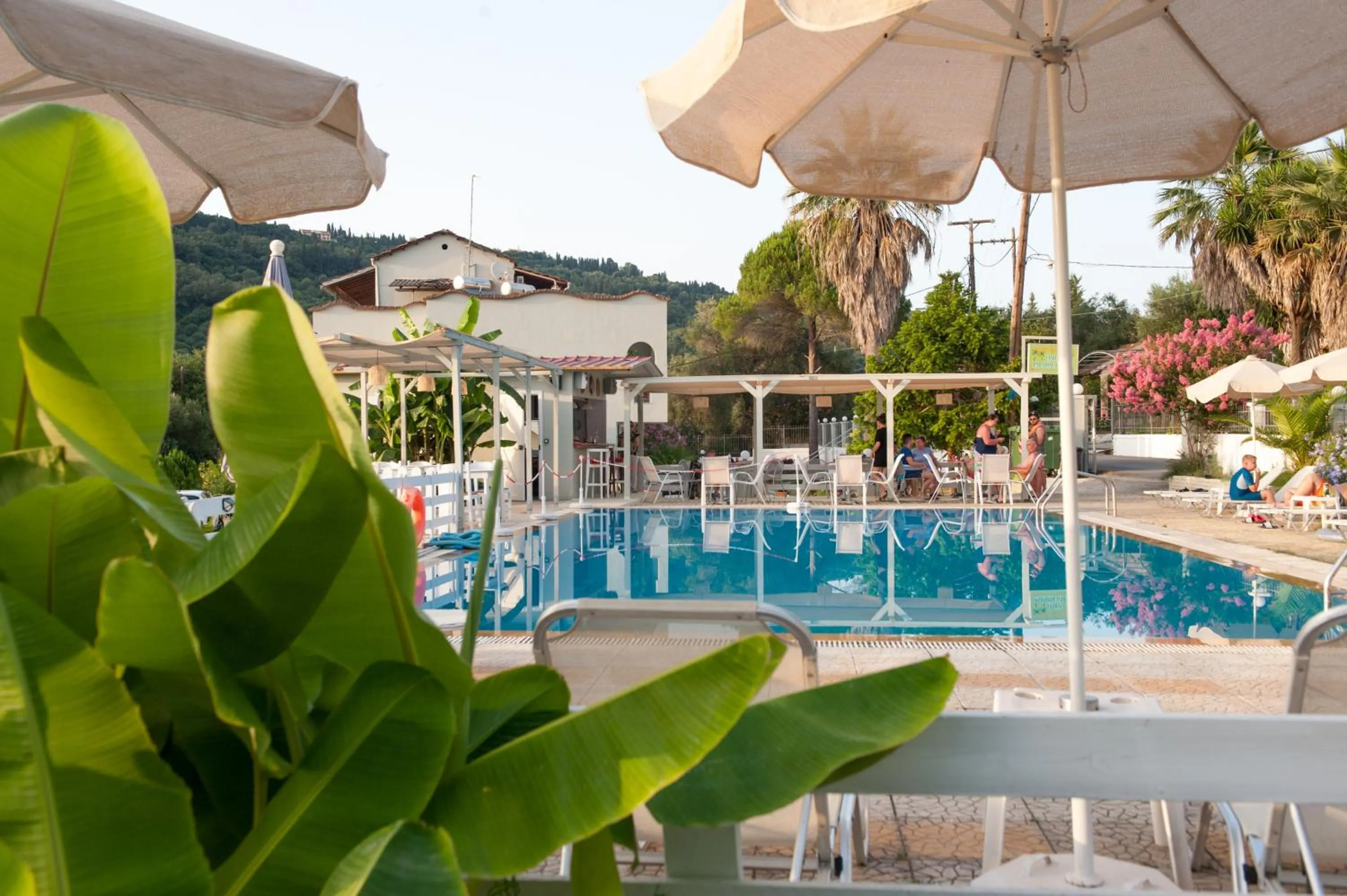 Swimming pool in Vassilis Paradise Garden Aparthotel