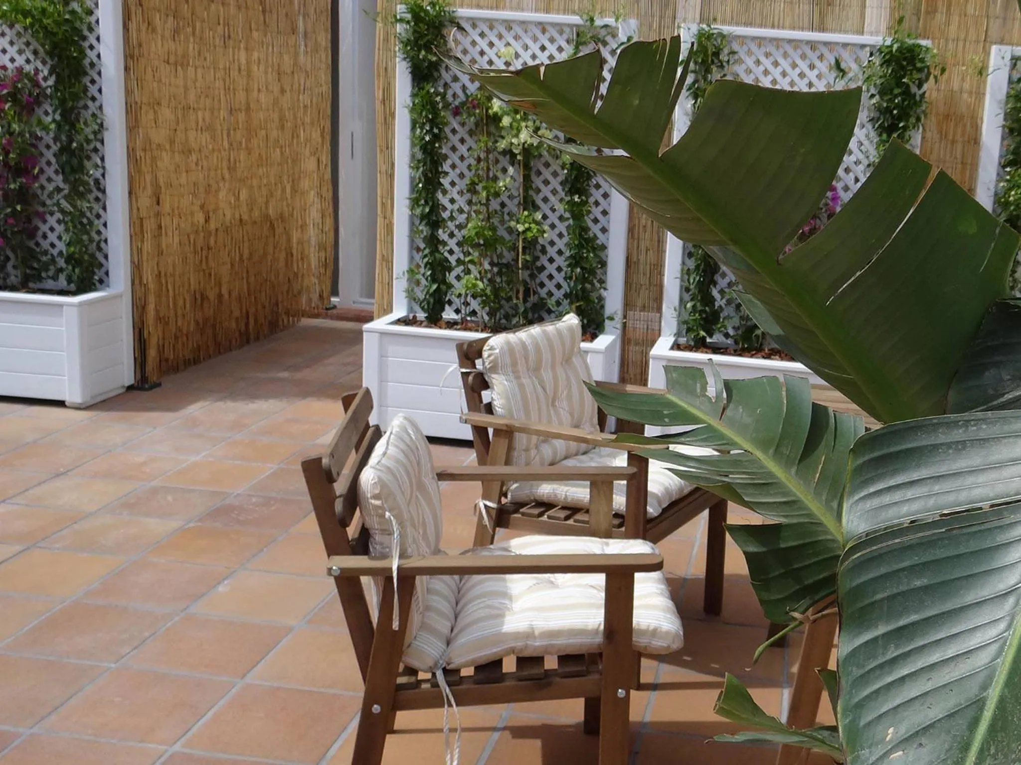 Patio in Hostal Balkonis