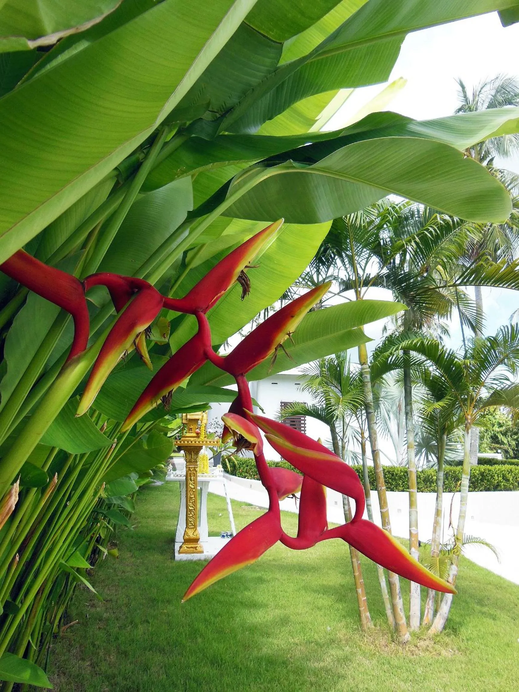 On site in The Inspiration Residence