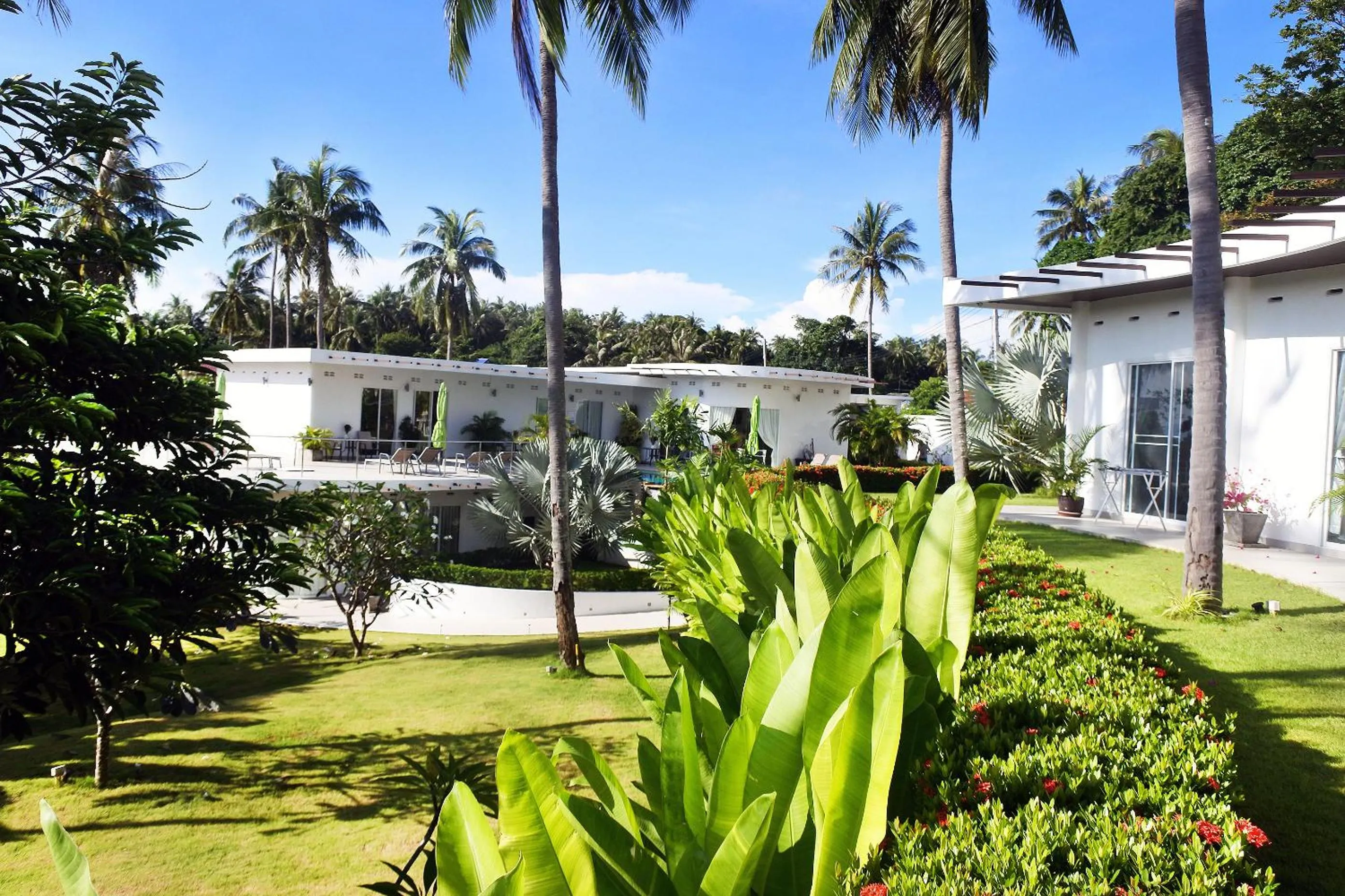Garden in The Inspiration Residence