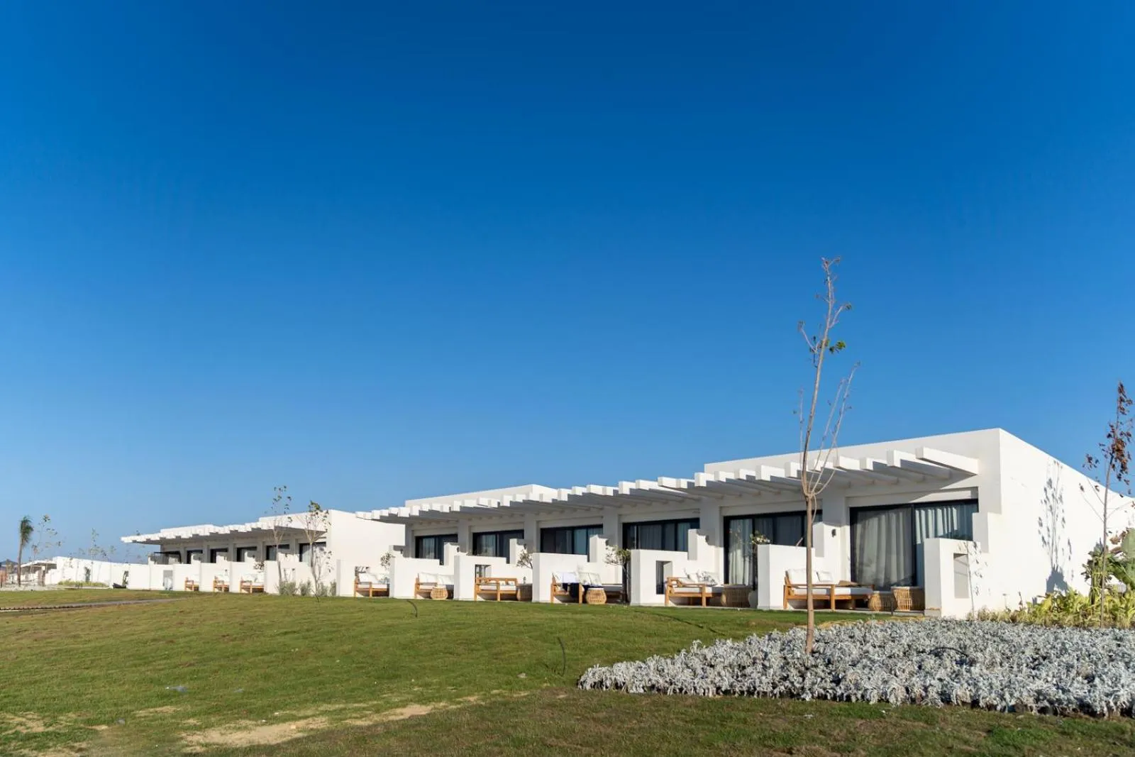 Day in Lemon Spaces LIGHT- D bay North Coast